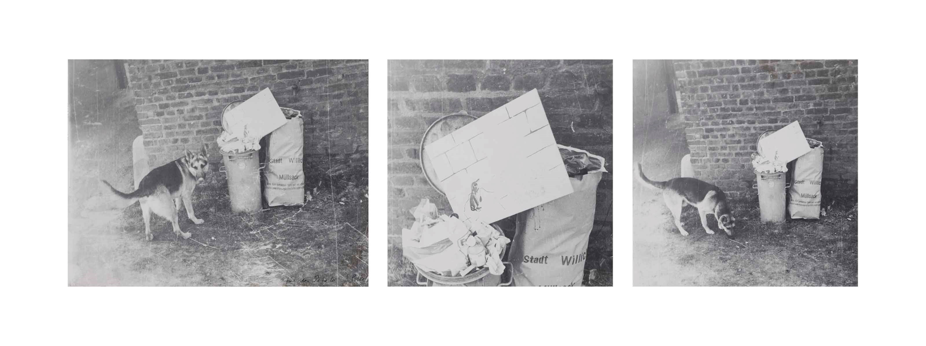 Sigmar Polke (1941-2010)