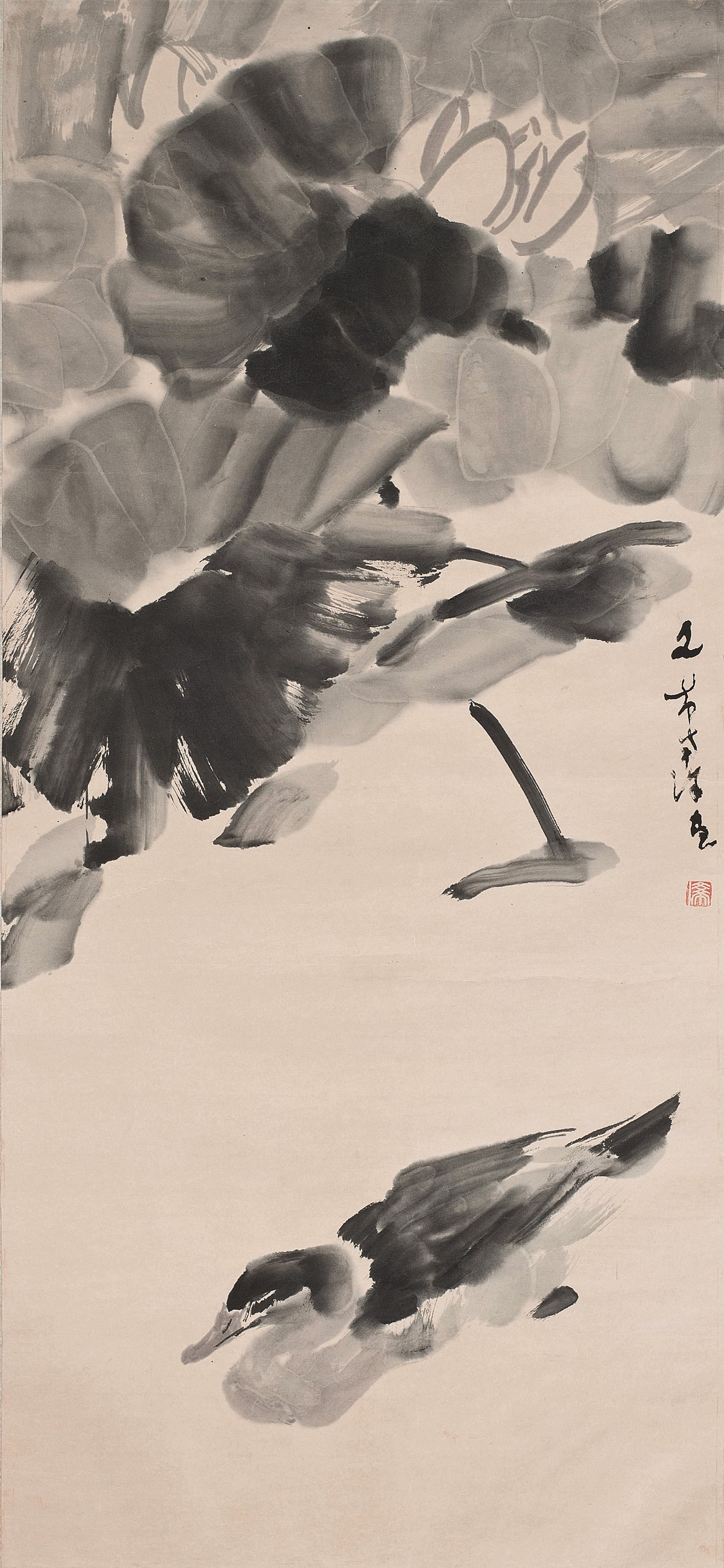 鸭戏荷塘