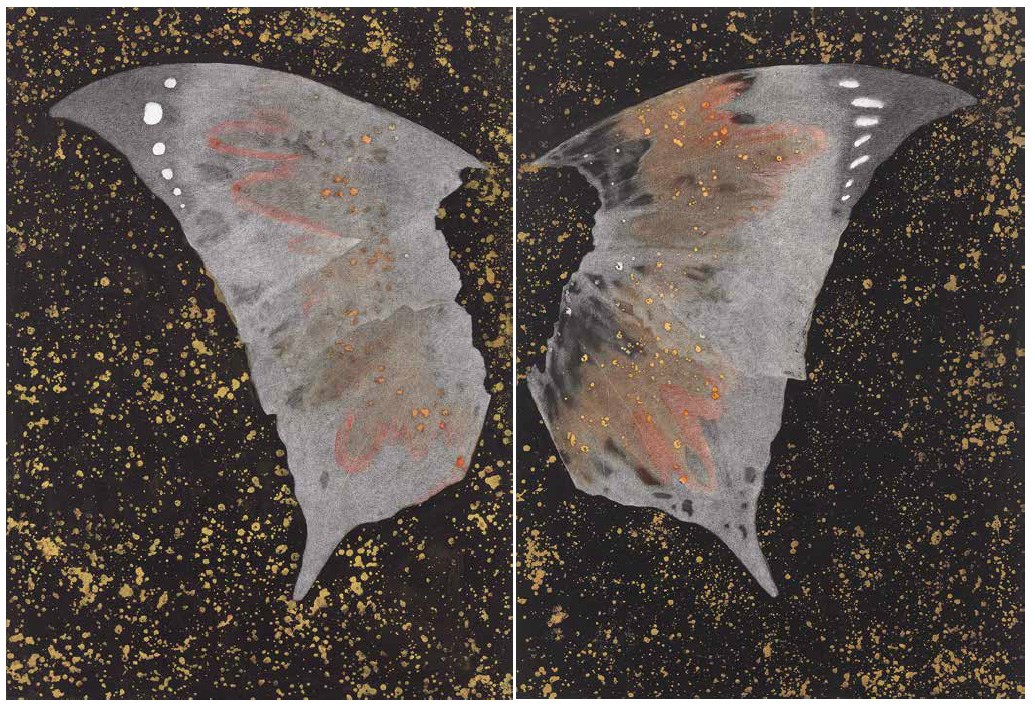 ASHIM PURKAYASTHA