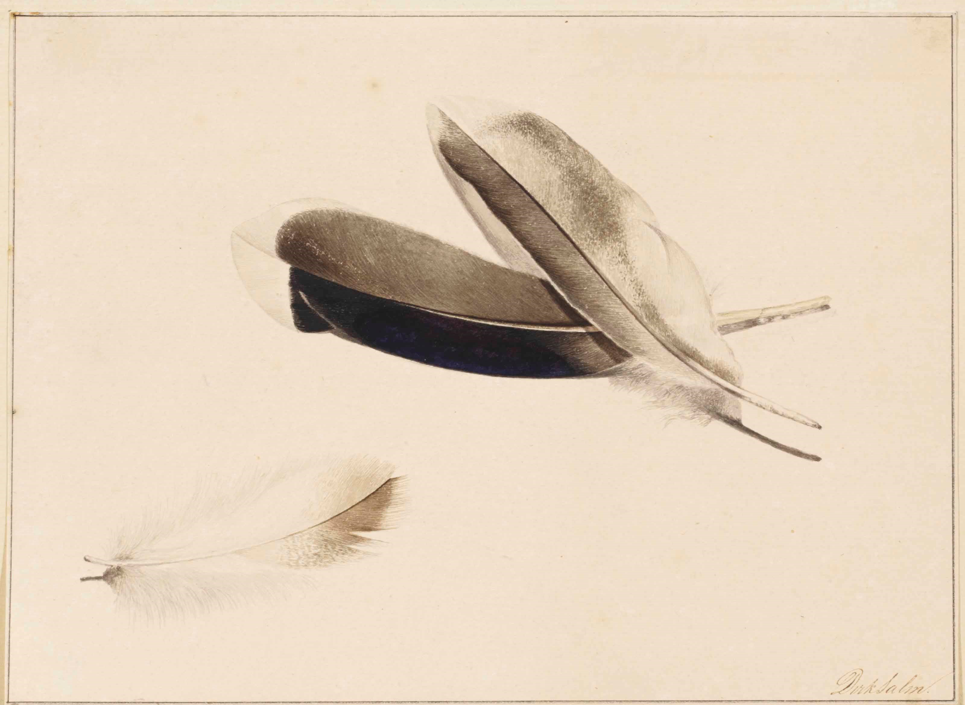 Dirk Salm (Amsterdam 1803-1838)