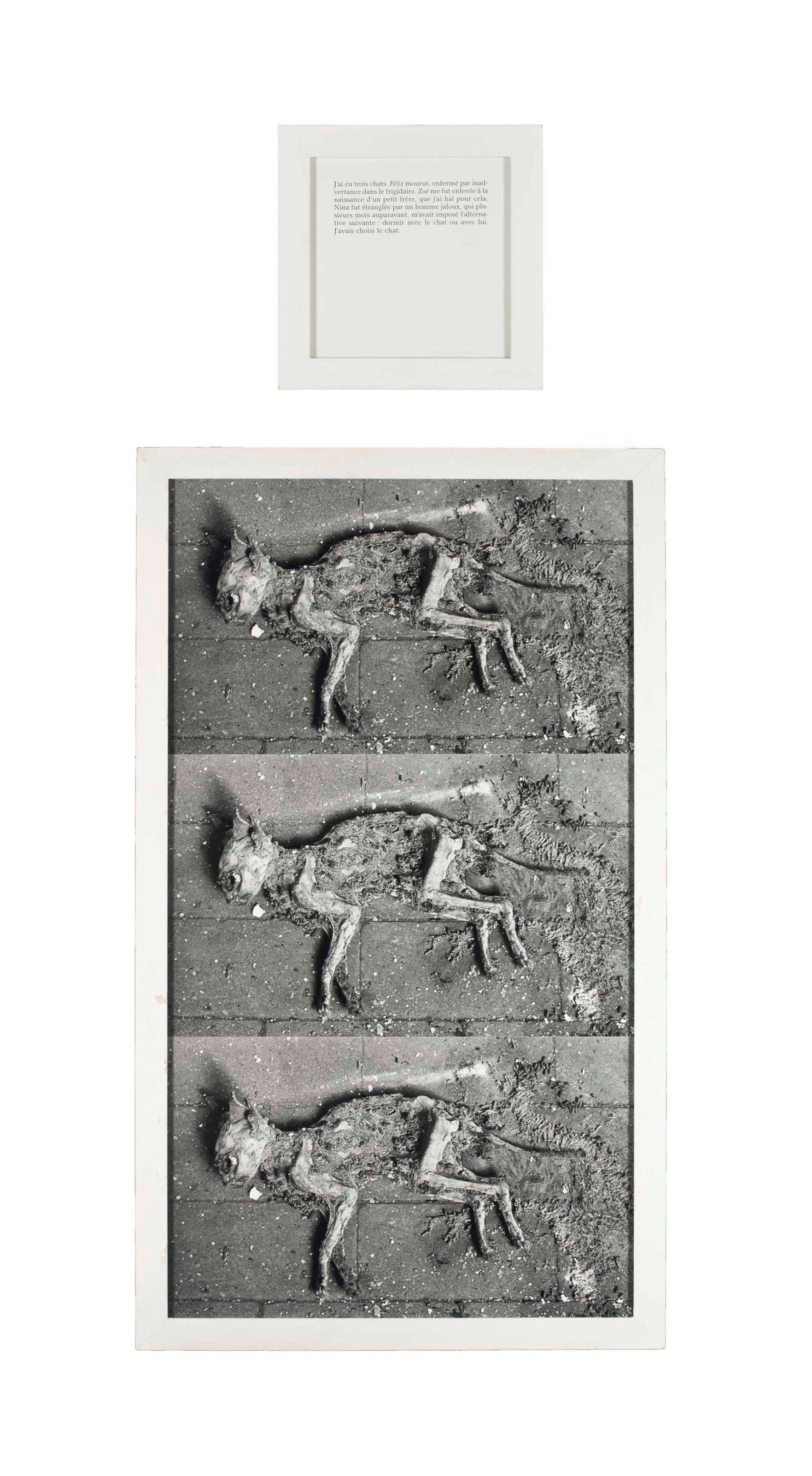 SOPHIE CALLE (NEE EN 1953)