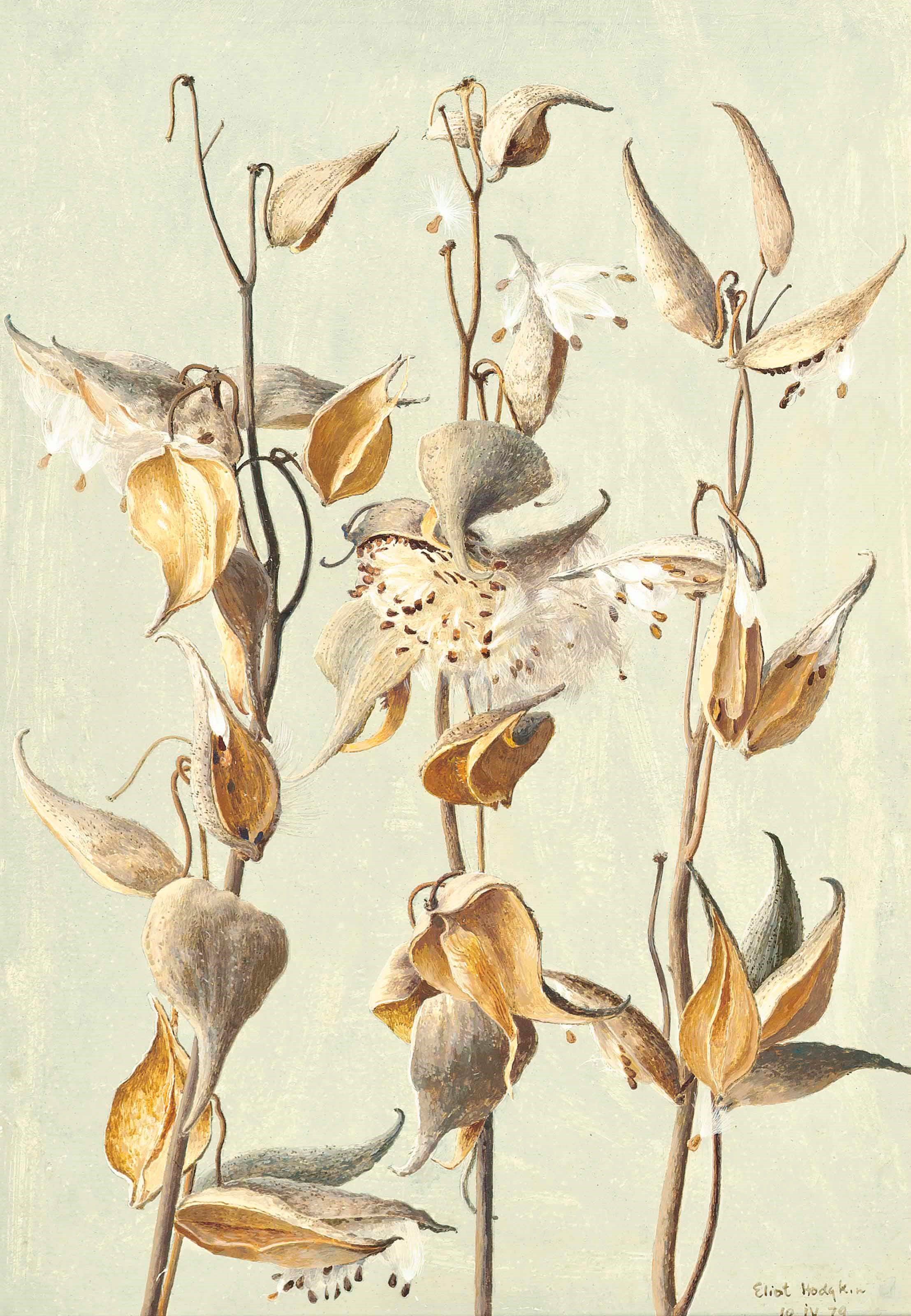 Eliot Hodgkin (1905-1987)