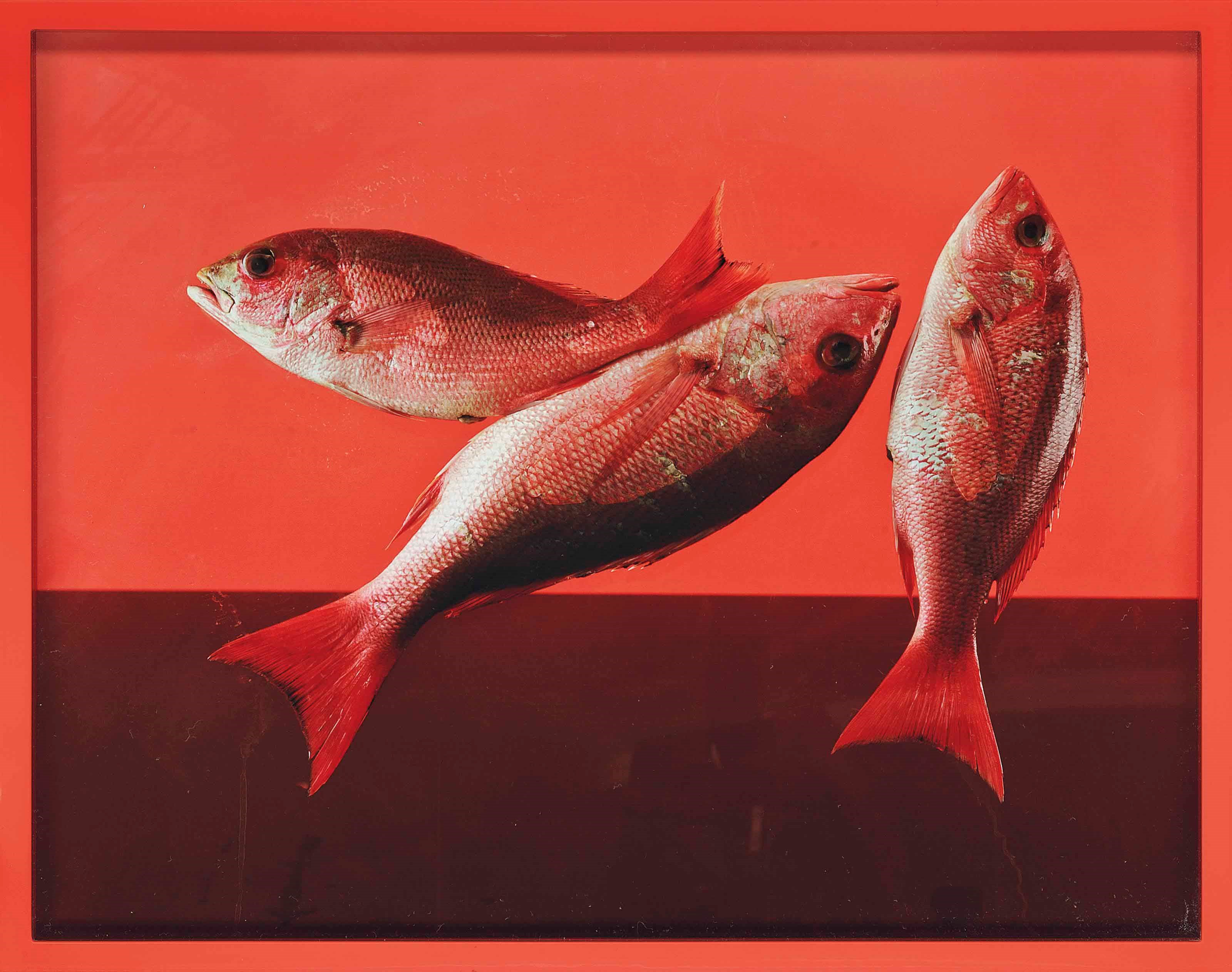 Elad Lassry (B. 1977)