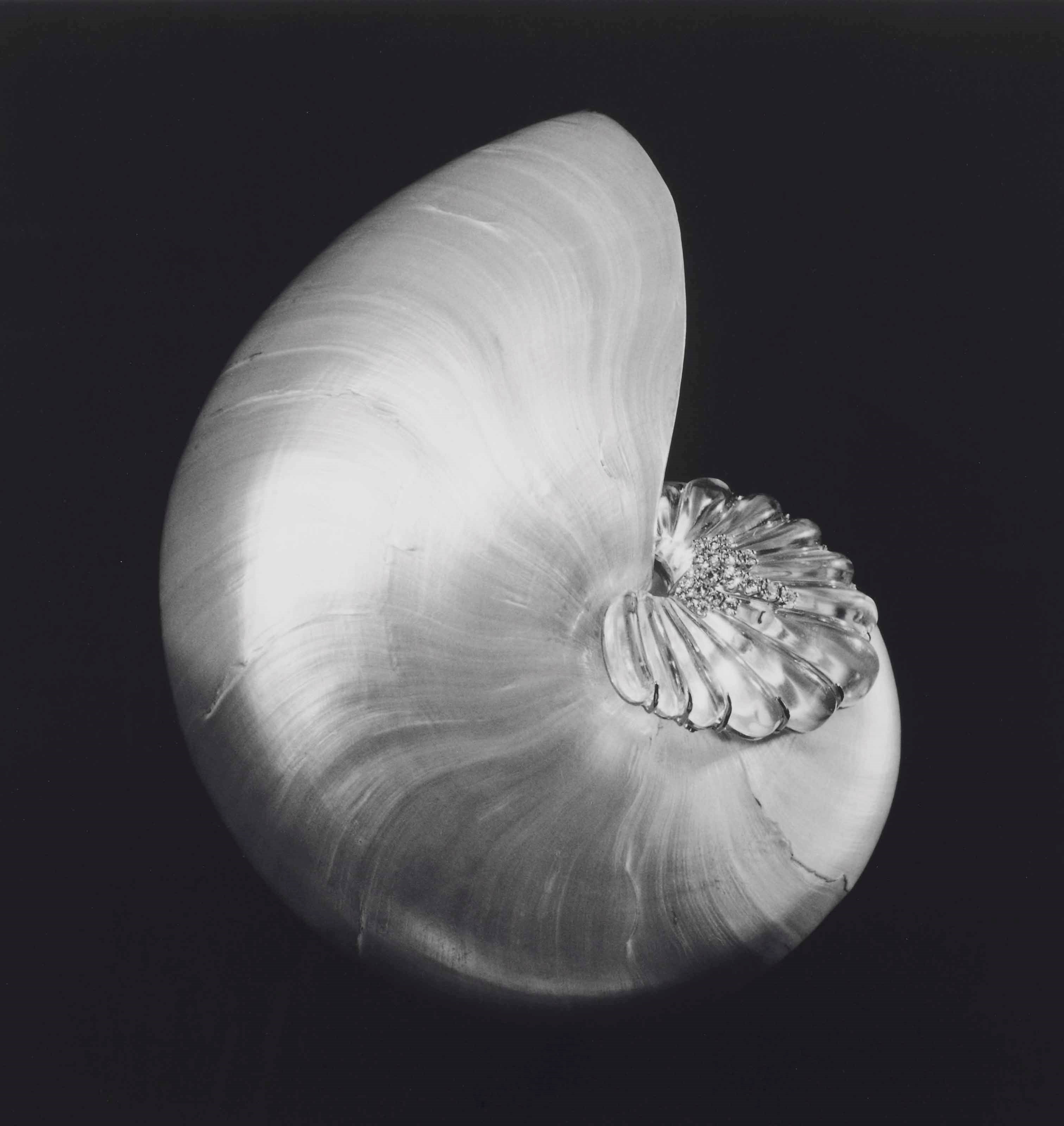 Robert Mapplethorpe (1946-1989)