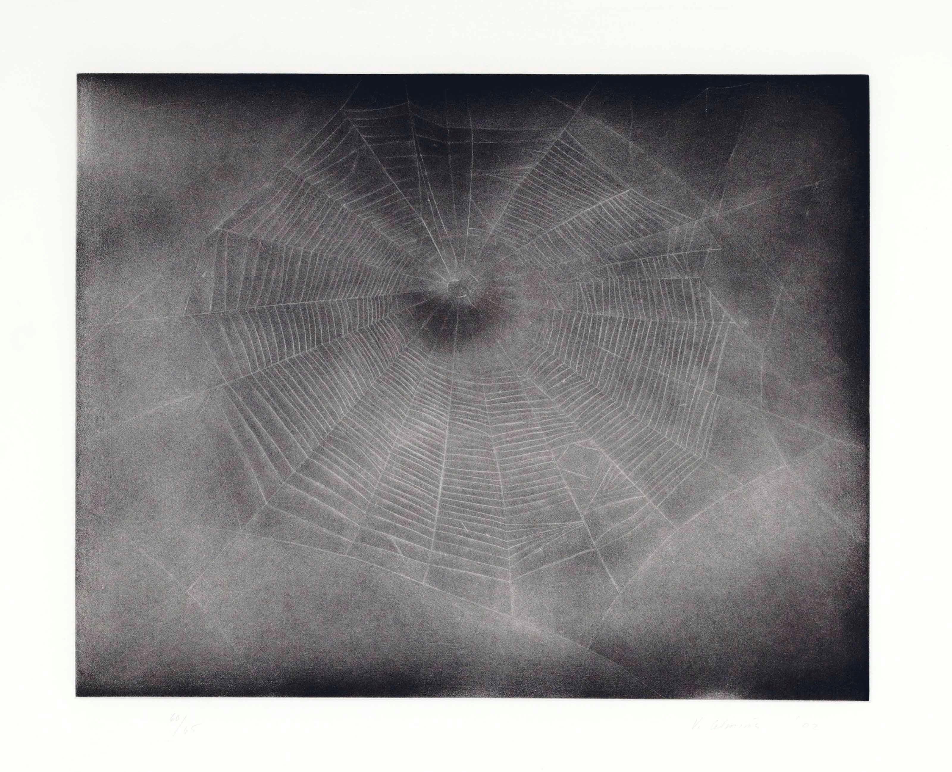 VIJA CELMINS (B. 1938)