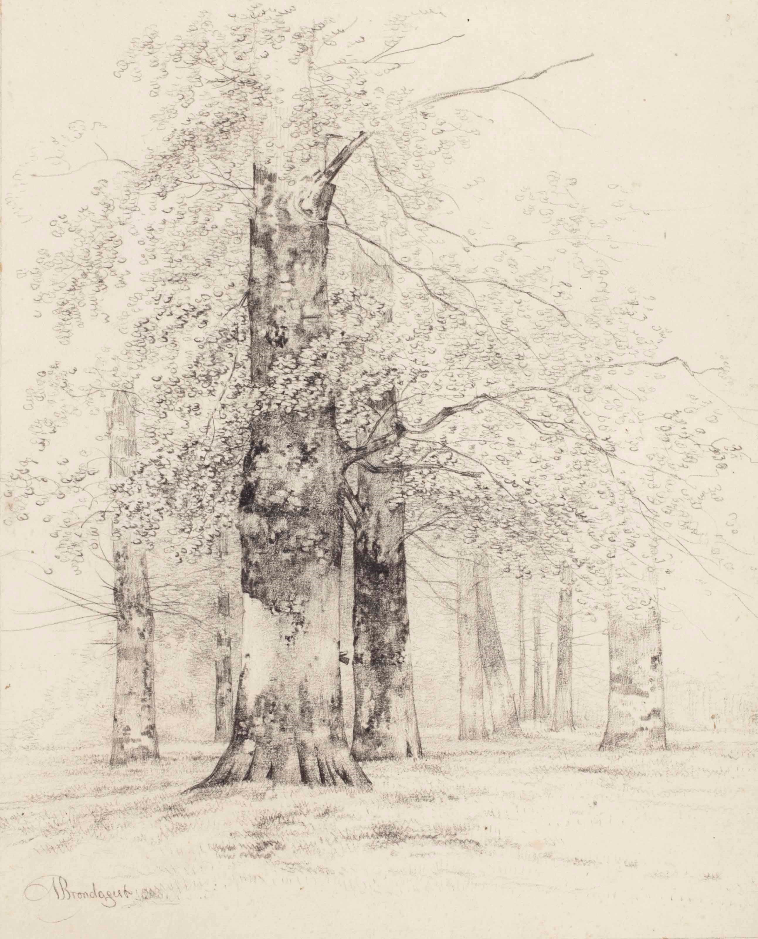 Albertus Brondgeest (Amsterdam 1786-1849)