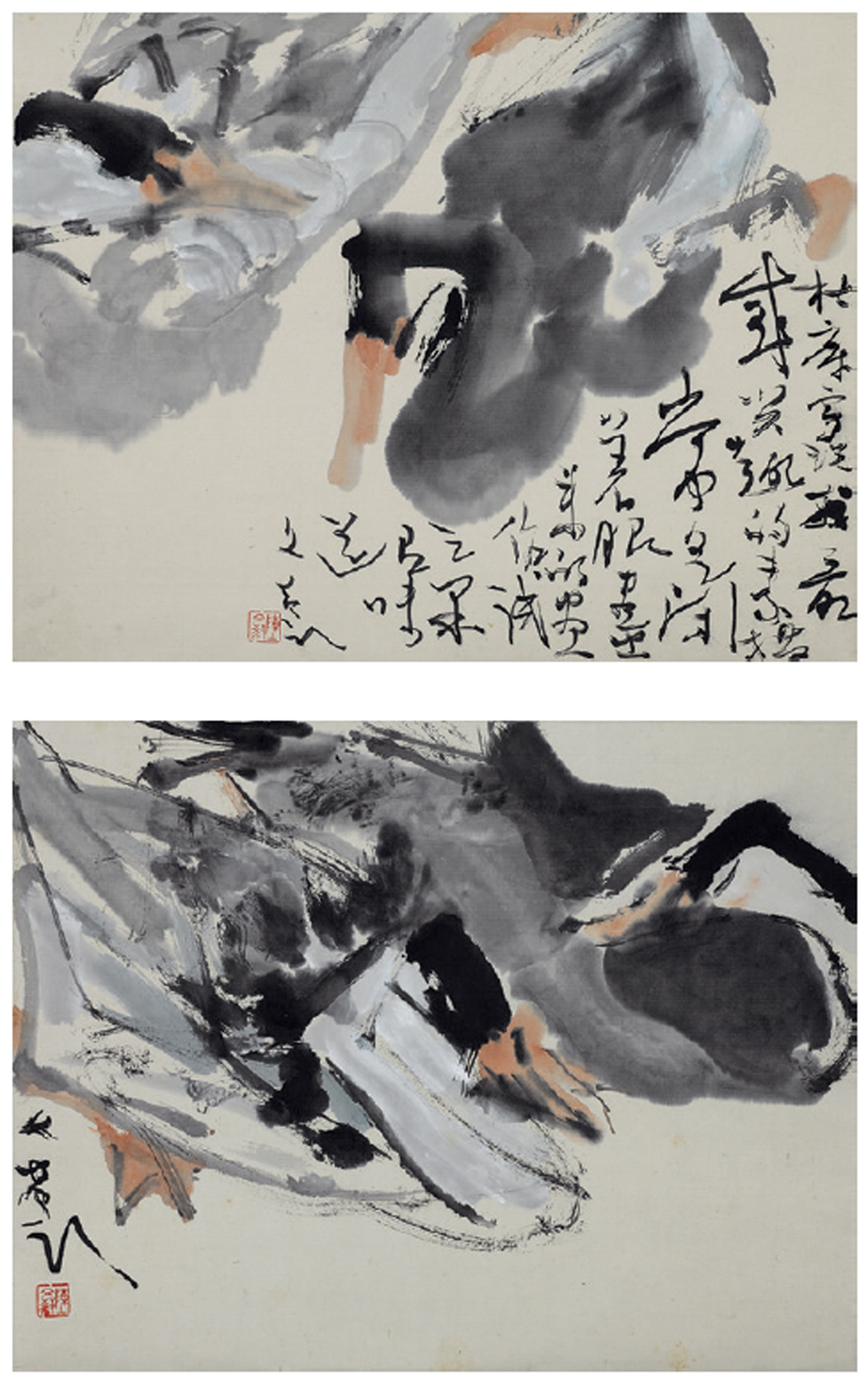 鸭