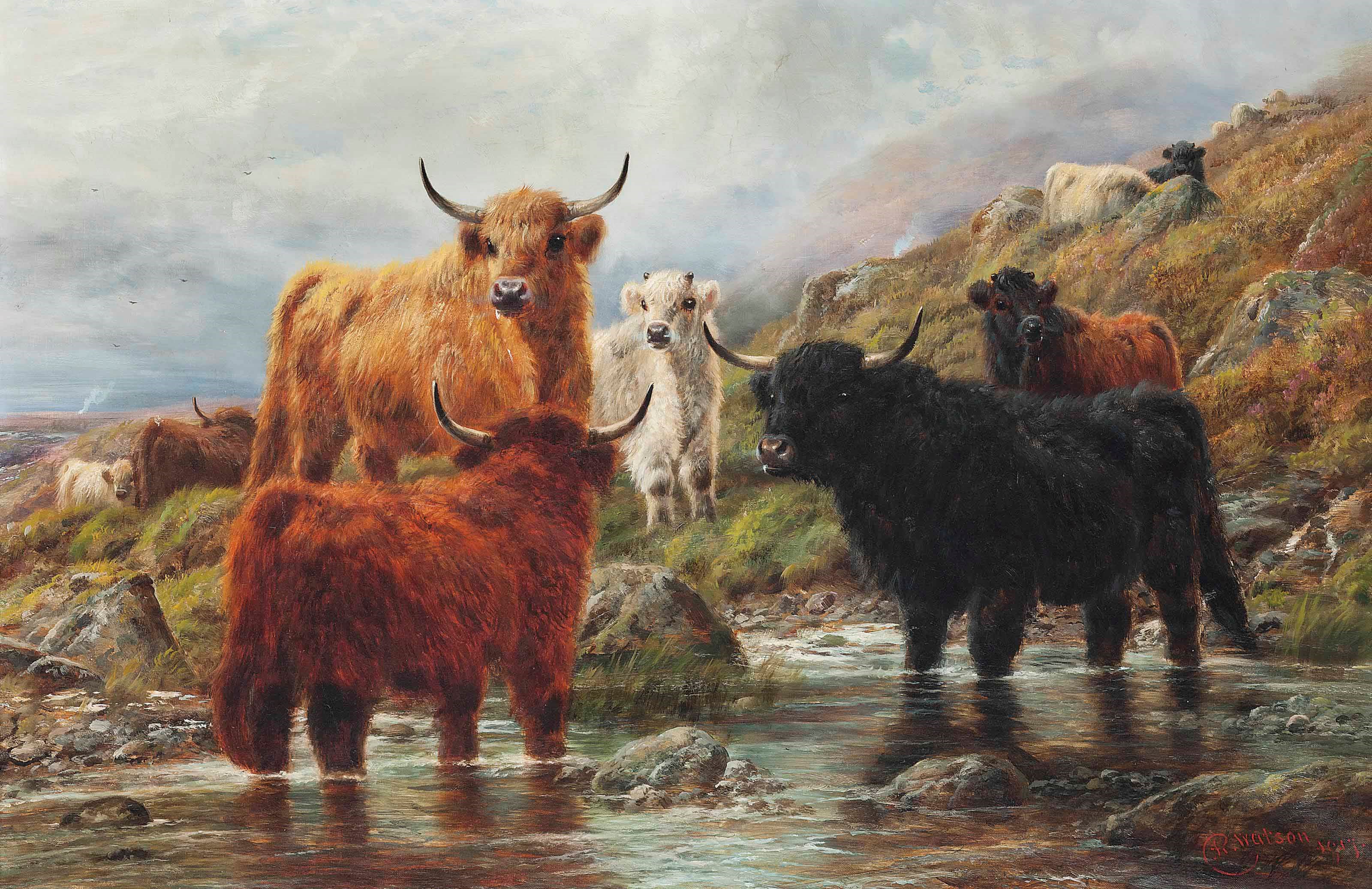 Robert Watson (1865-1916)