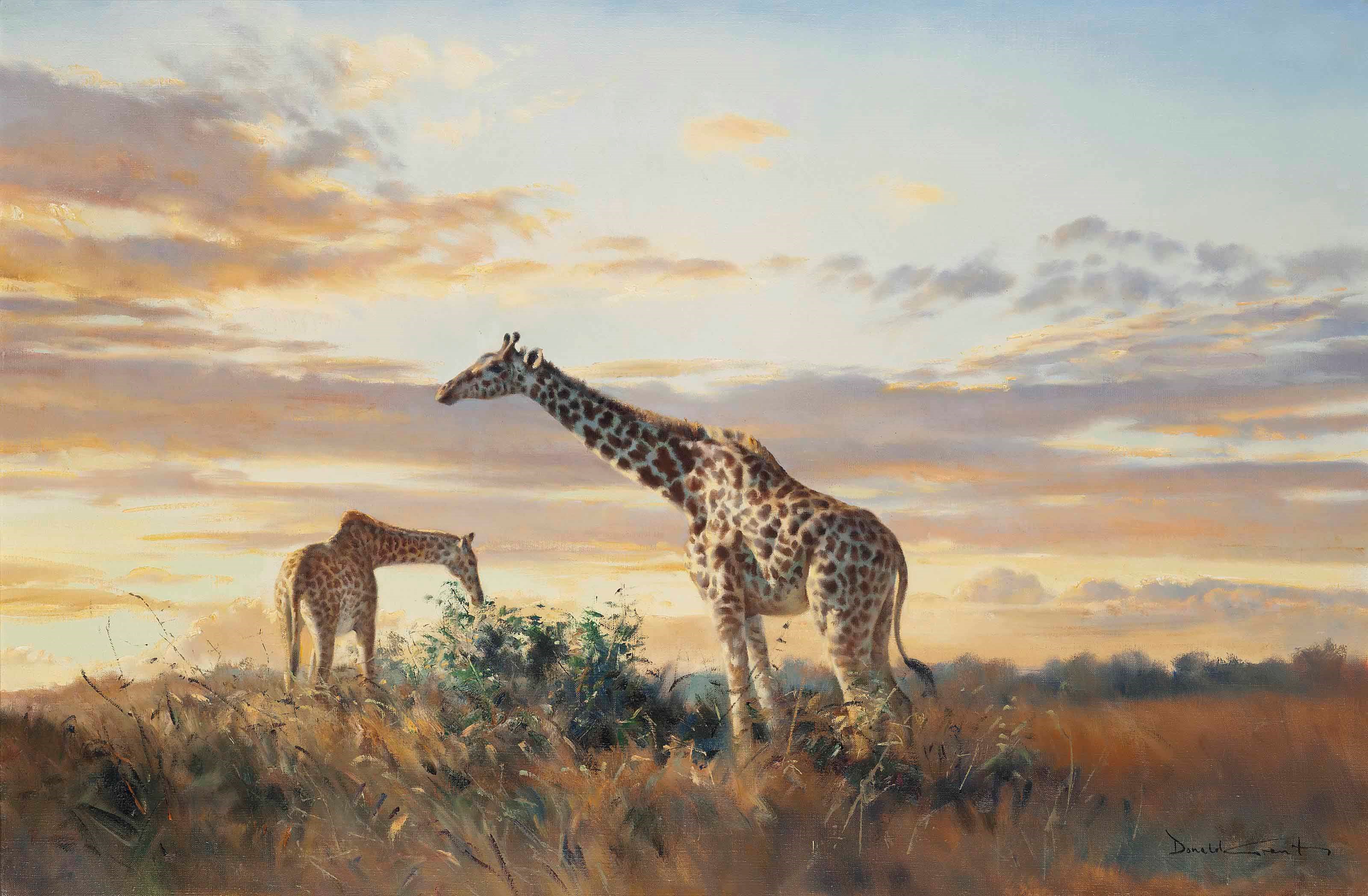 Donald Grant (1924-2001)