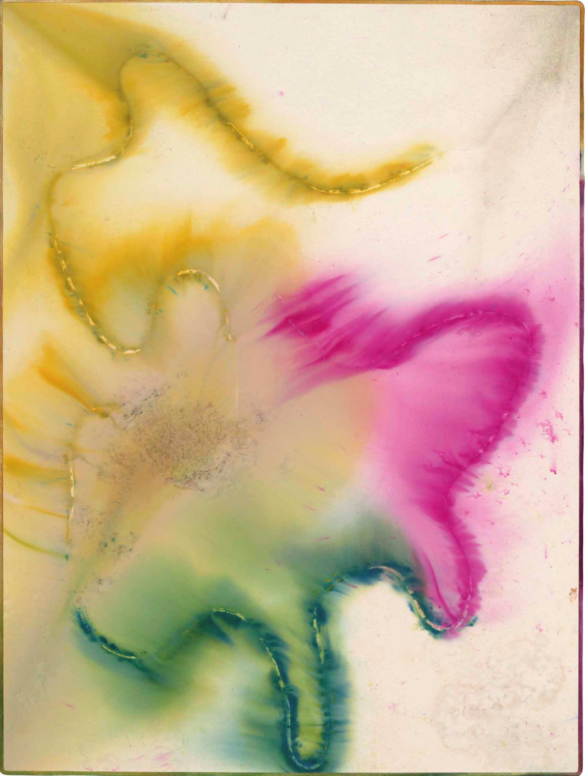 Sam Falls (b. 1984)