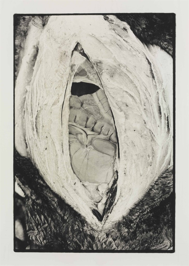 Zoe Leonard (b. 1961)