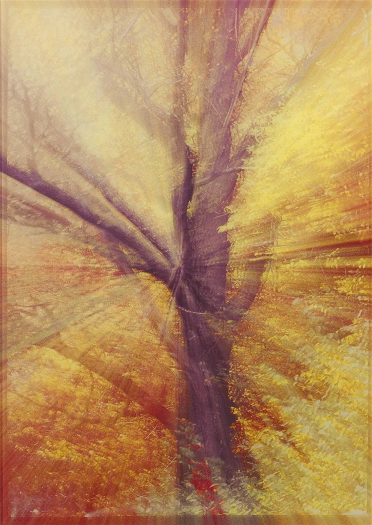 Piotr Uklanski (b. 1969)
