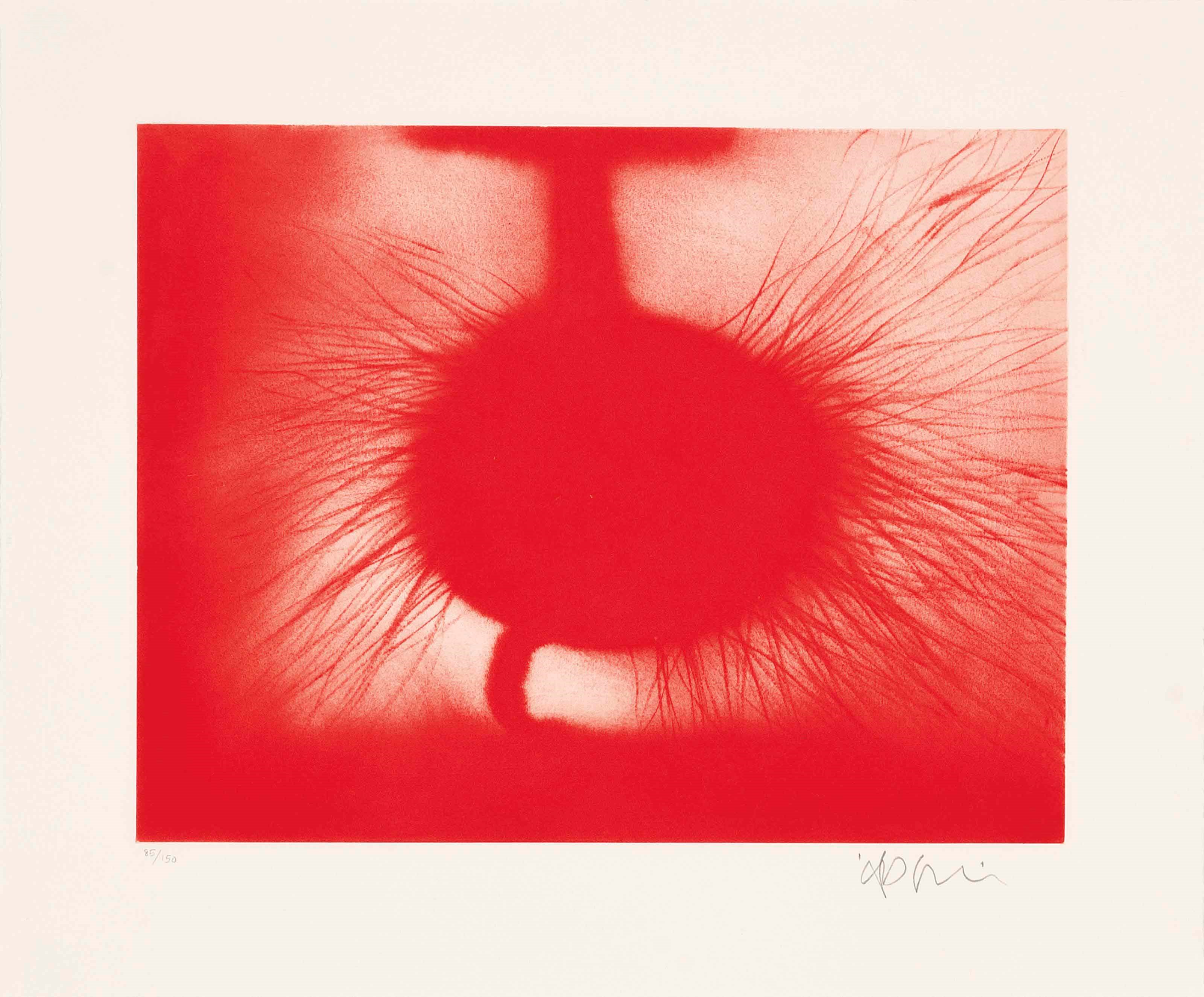 Anish Kapoor (b. 1954)