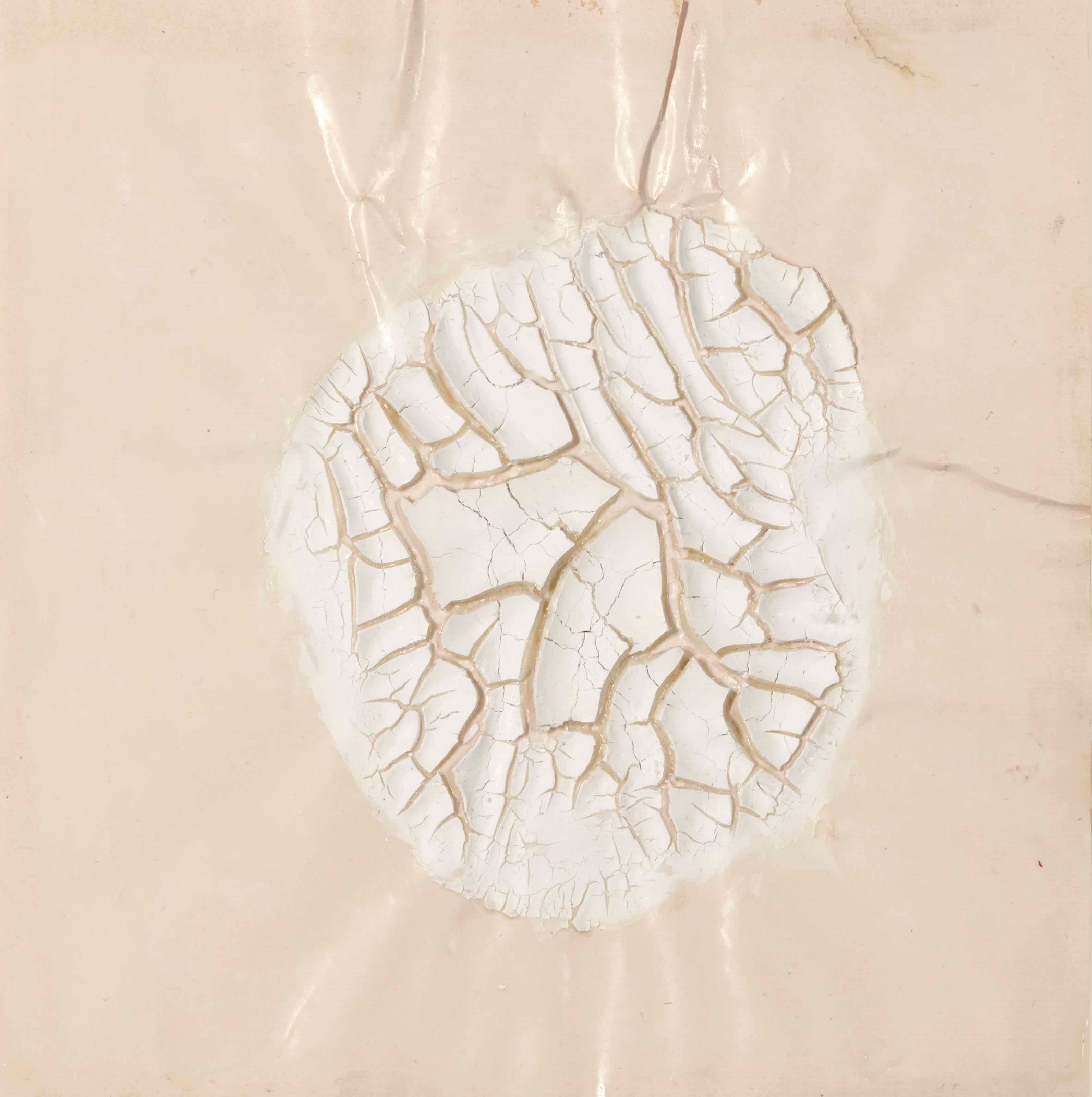 ALBERTO BURRI (1915-1995)
