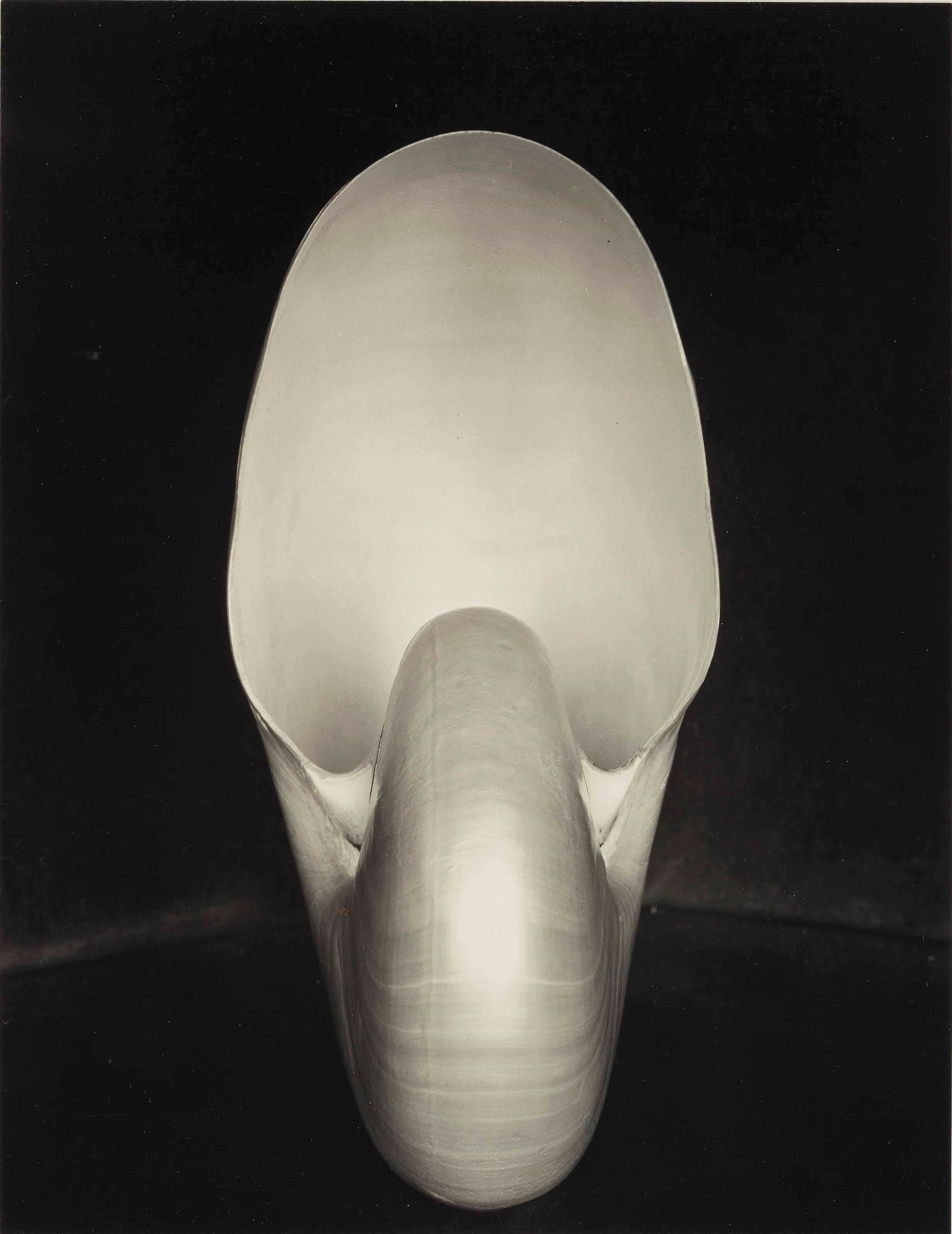 Edward Weston (1886-1958)