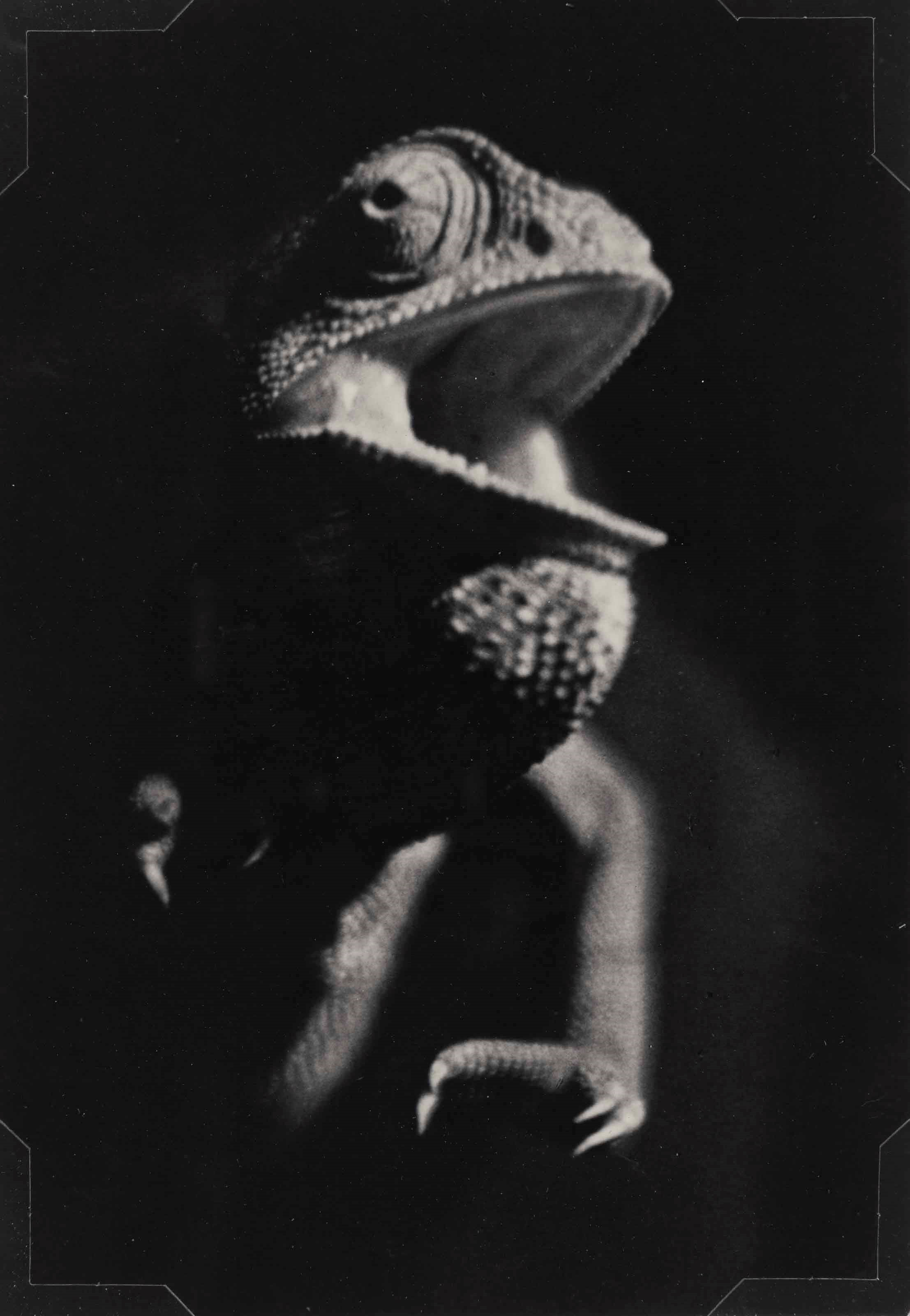 Man Ray (1890-1976)