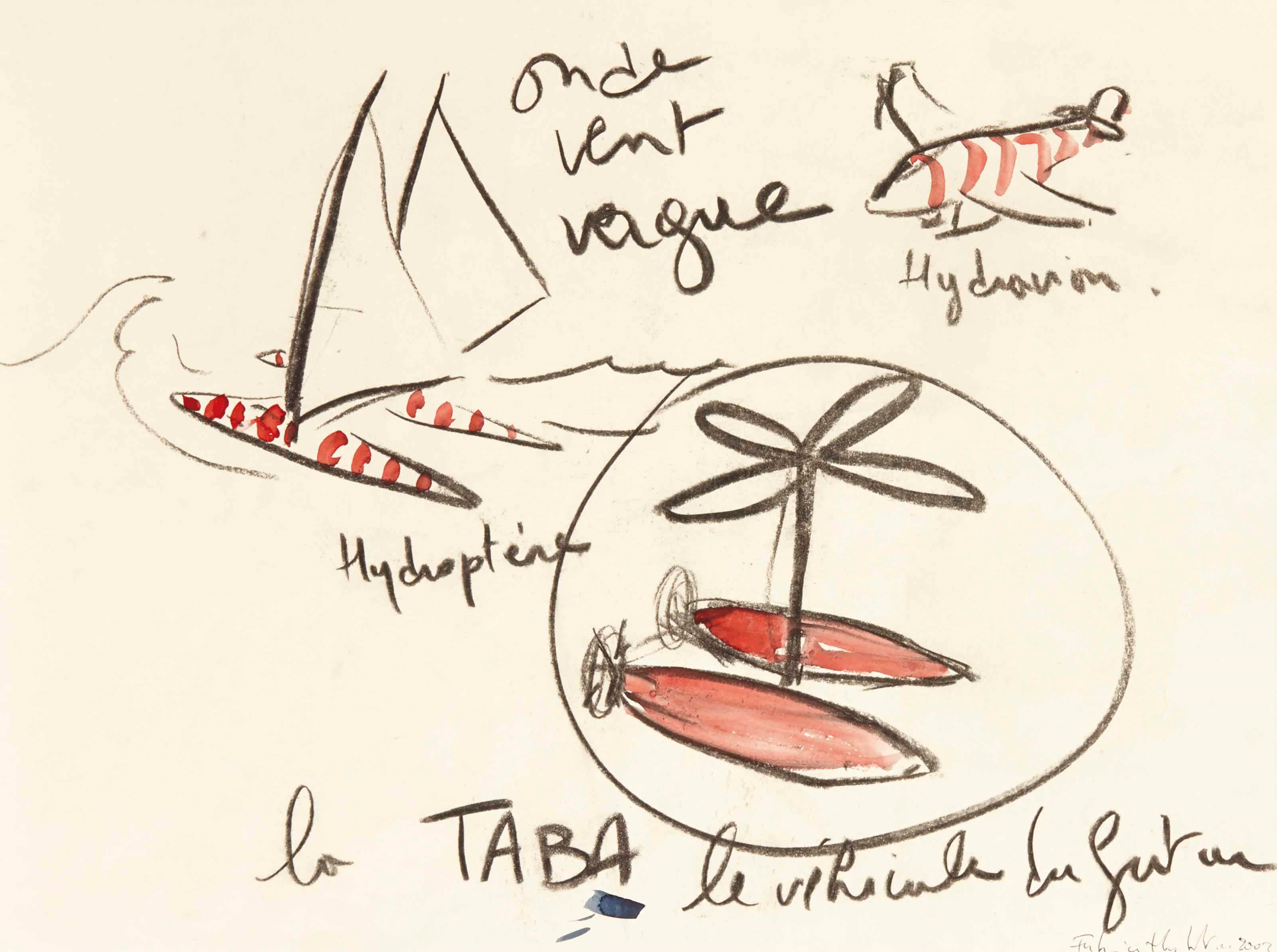 FABRICE HYBER (NÉ EN 1961)