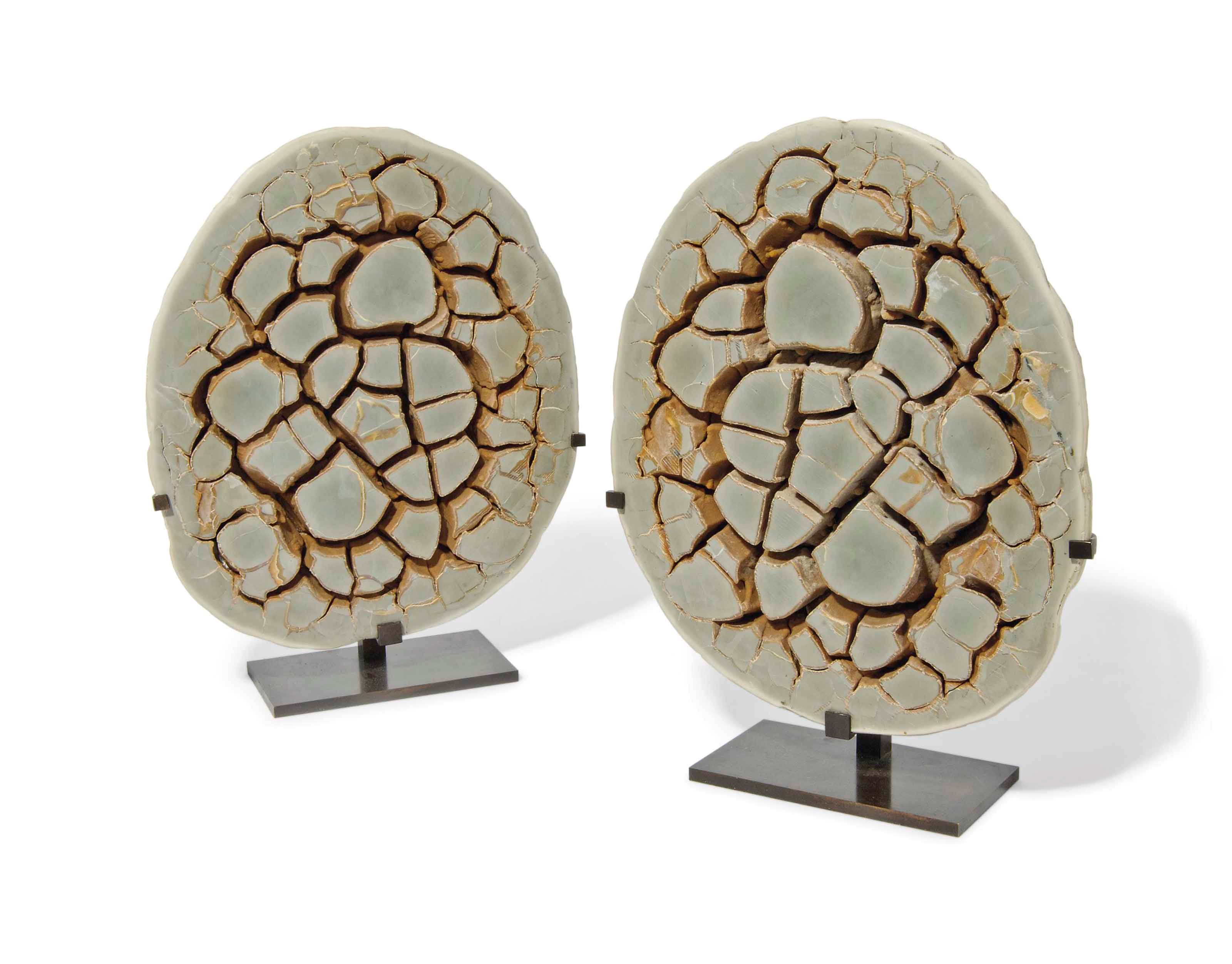 A SPLIT SEPTARIAN CONCRECTION