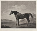 Charles Howard Hodges (1764-1837), after George Stubbs, A.R.A.