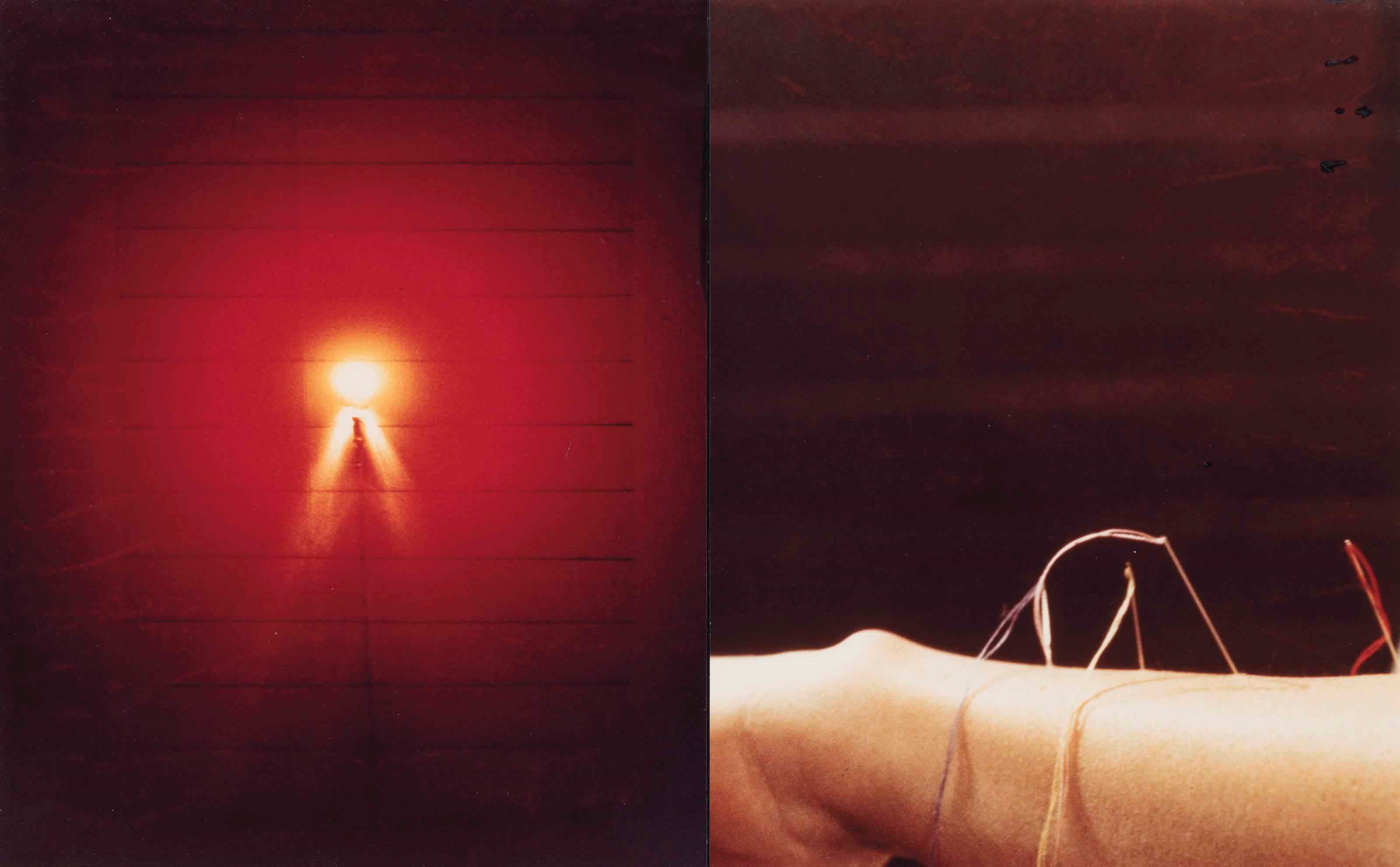 Gina Pane (1939-1990)