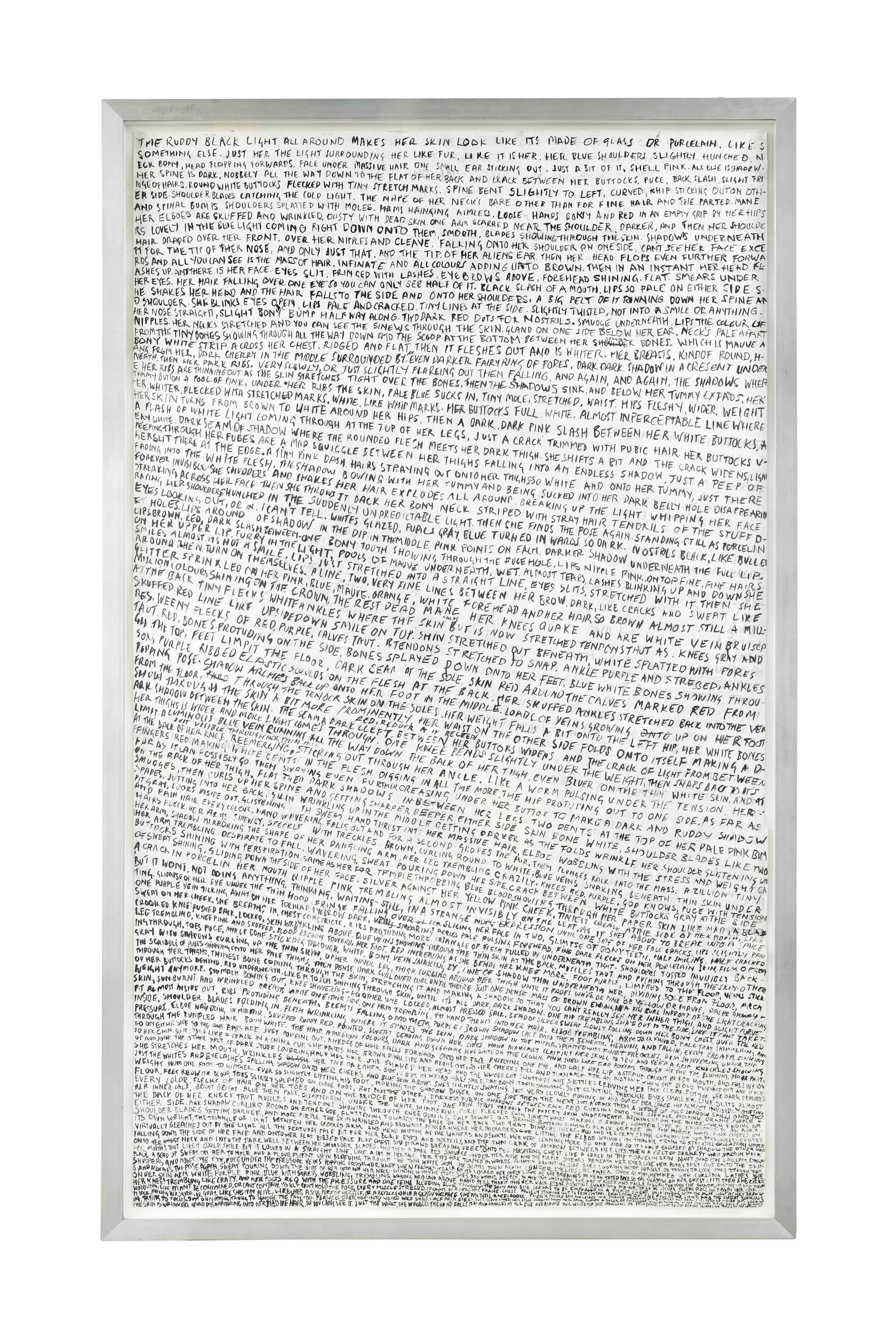 Fiona Banner (B. 1966)