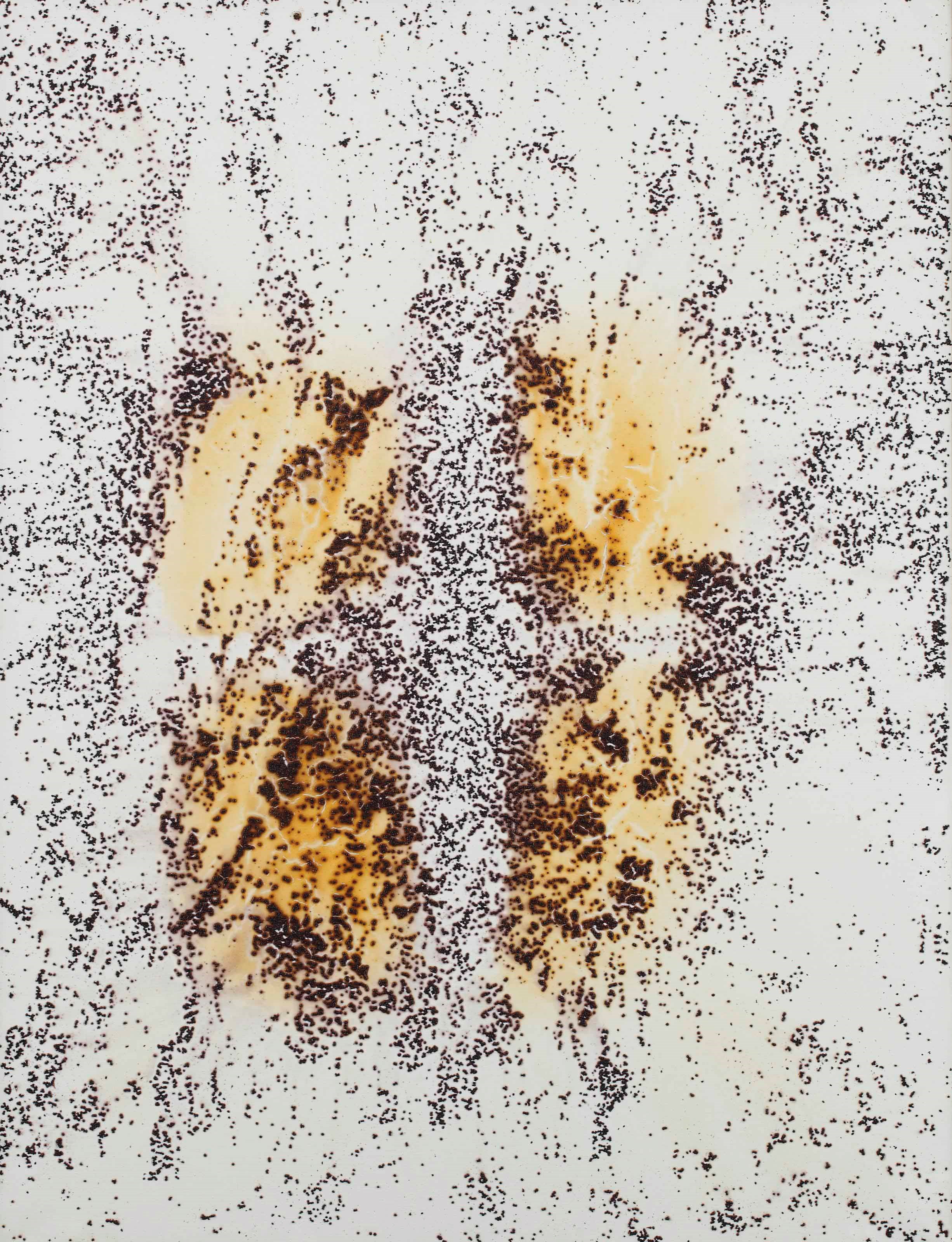 Georg Herold (b. 1947)