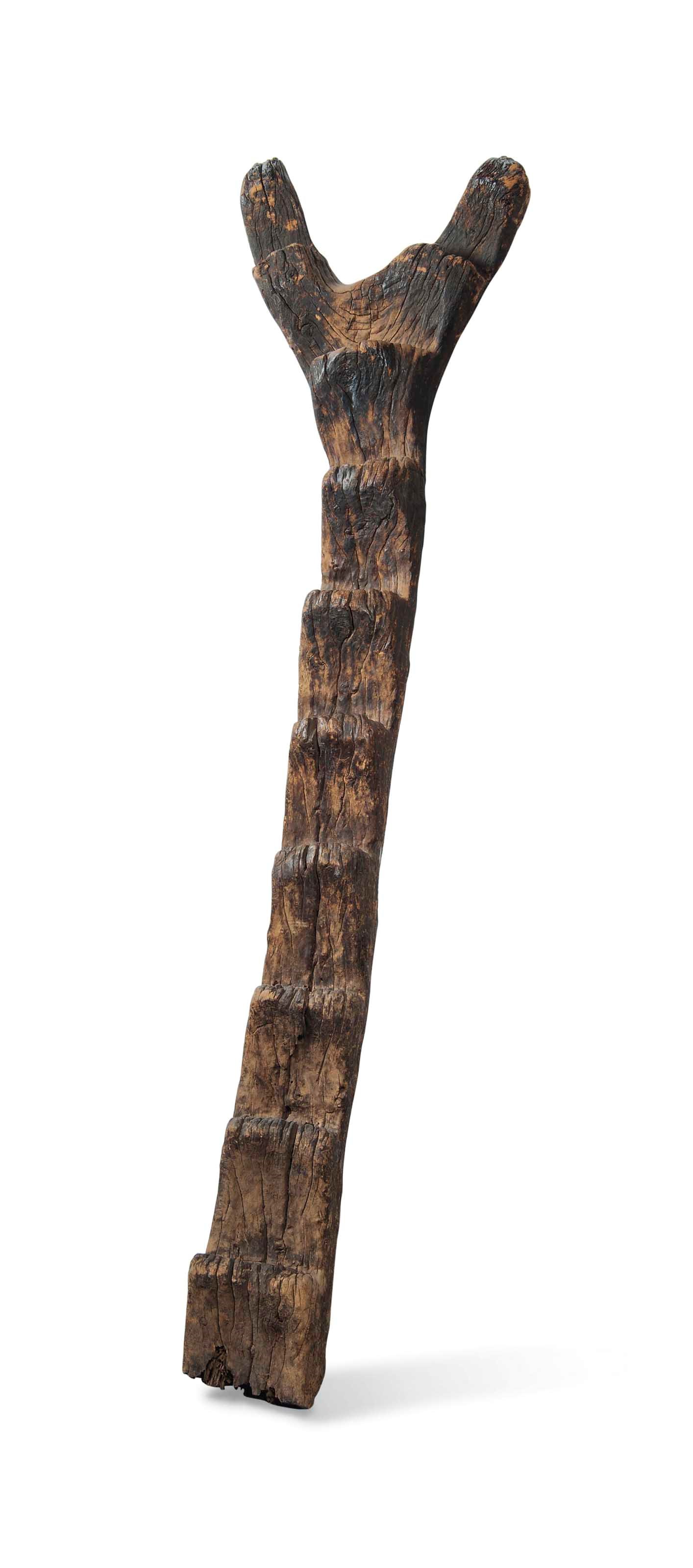 A DOGON LADDER