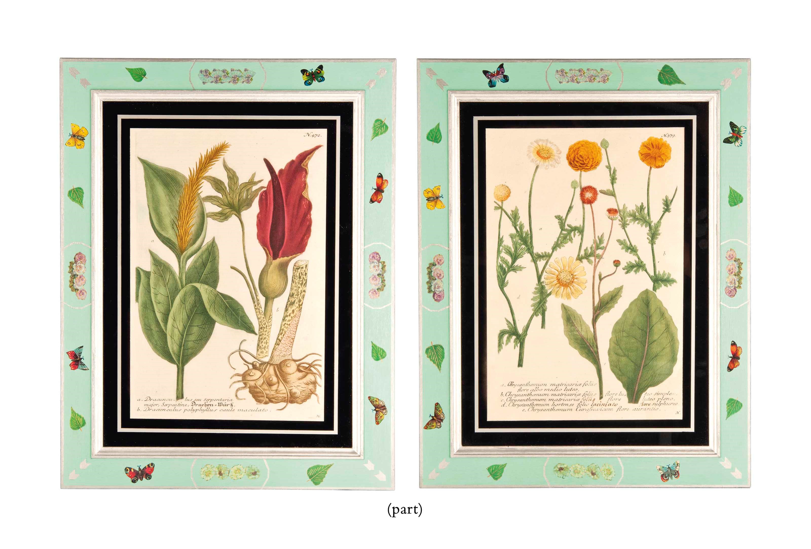 TWELVE COLOURED BOTANICAL ETCHINGS FROM 'PHYTANTHOZA ICONOGRAPHIA'