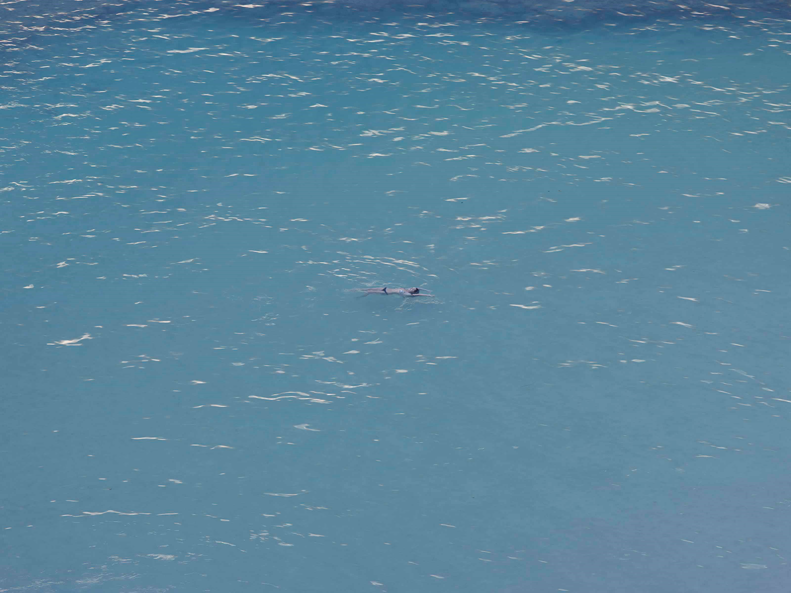 Richard Misrach (B. 1949)