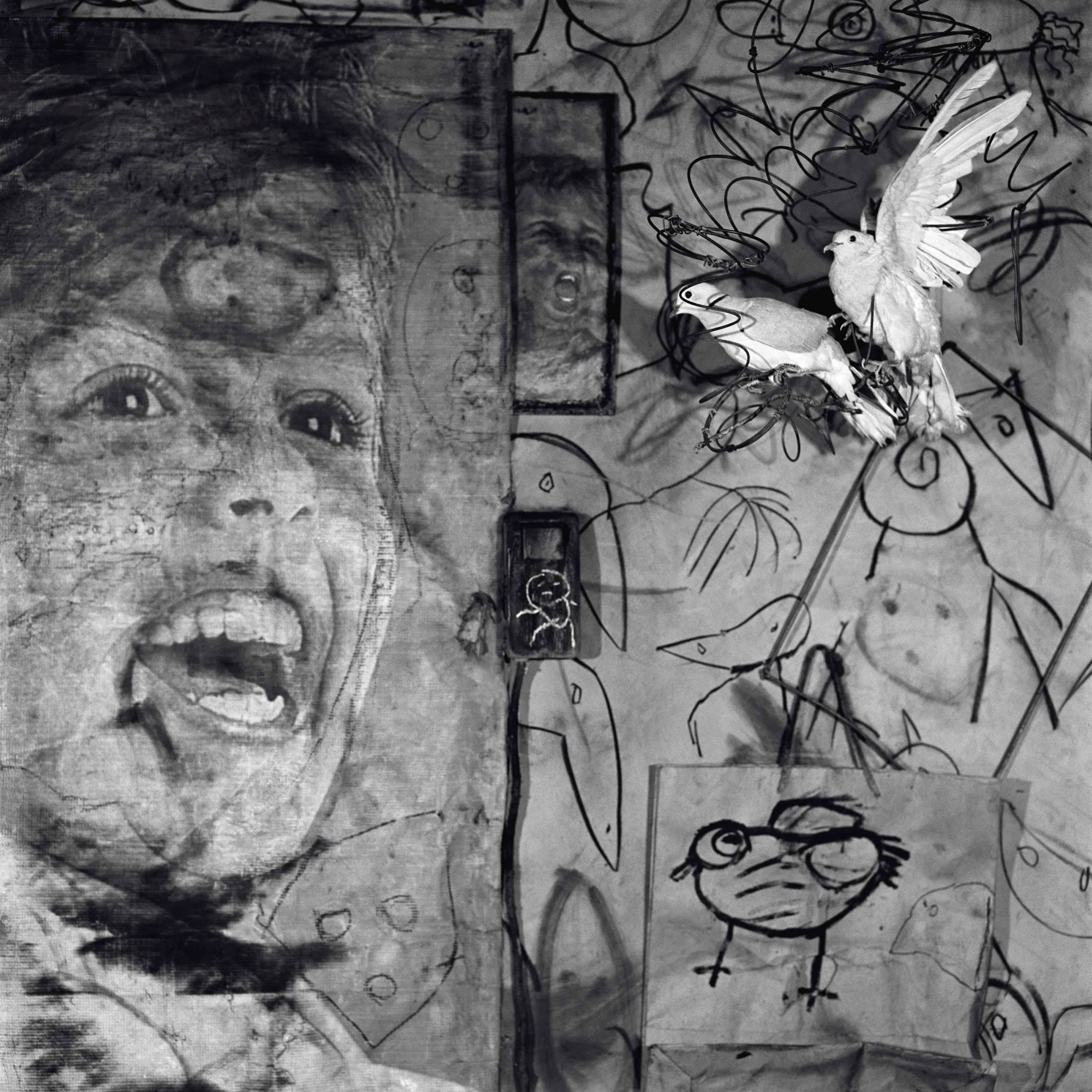 Roger Ballen (b. 1950)
