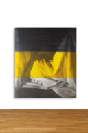 David Salle (b. 1952)