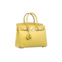 A VERT ANIS OSTRICH BIRKIN 30 WITH PALLADIUM HARDWARE