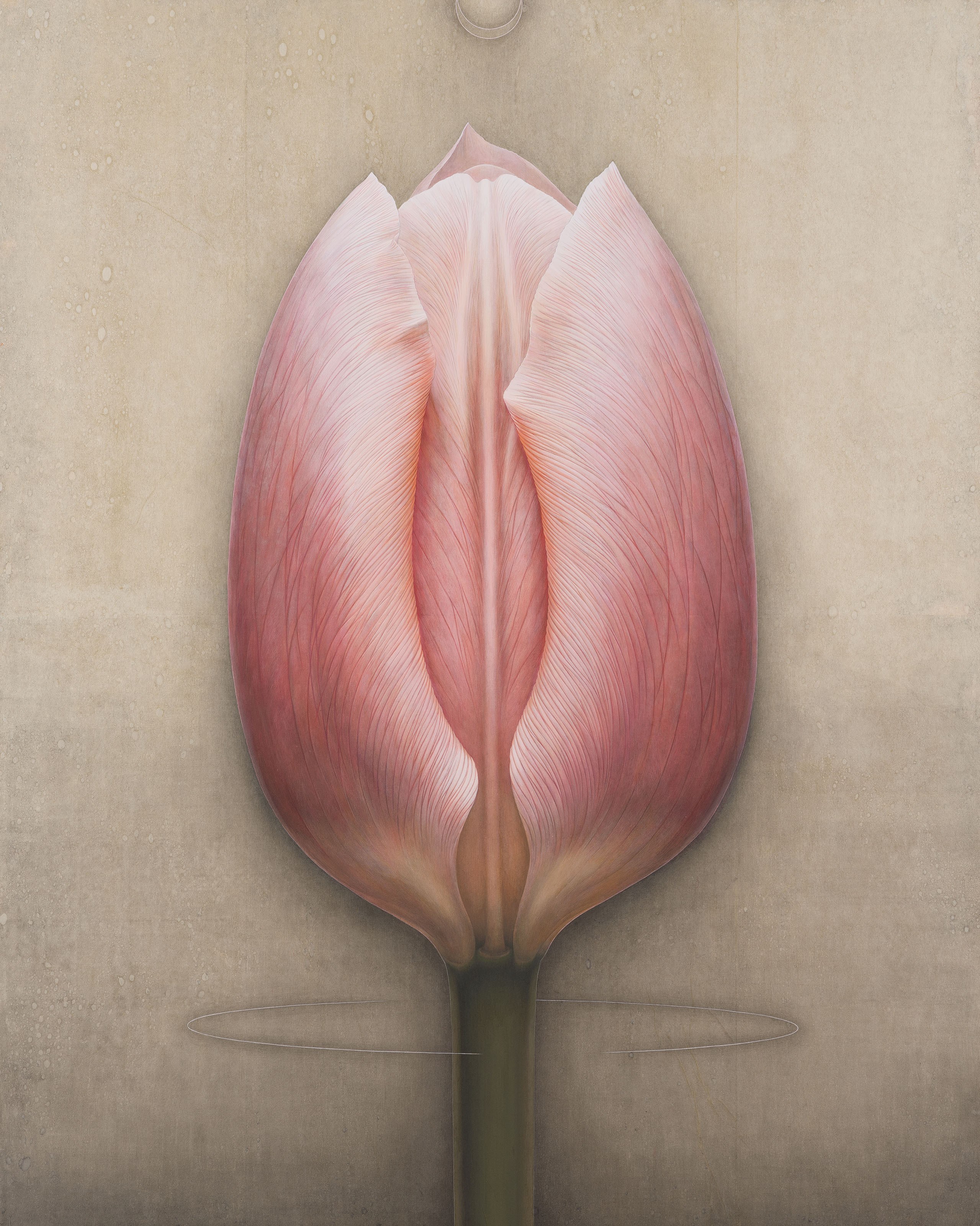 KAYOKO KIMURA (JAPAN, B. 1971)