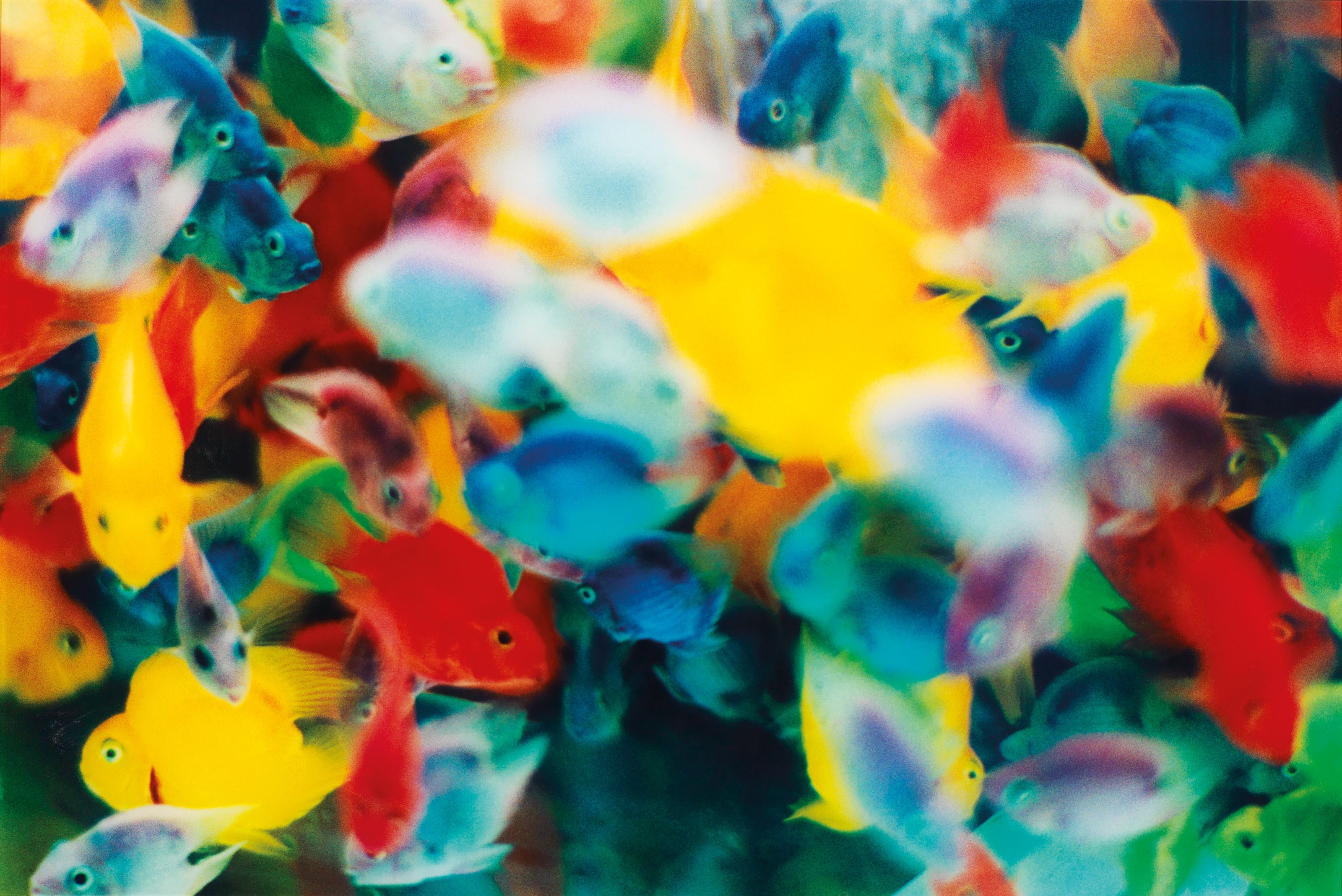 MIKA NINAGAWA (JAPAN, B.1972)