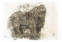 SANYU (CHANG YU, CHINA, 1901-1966)