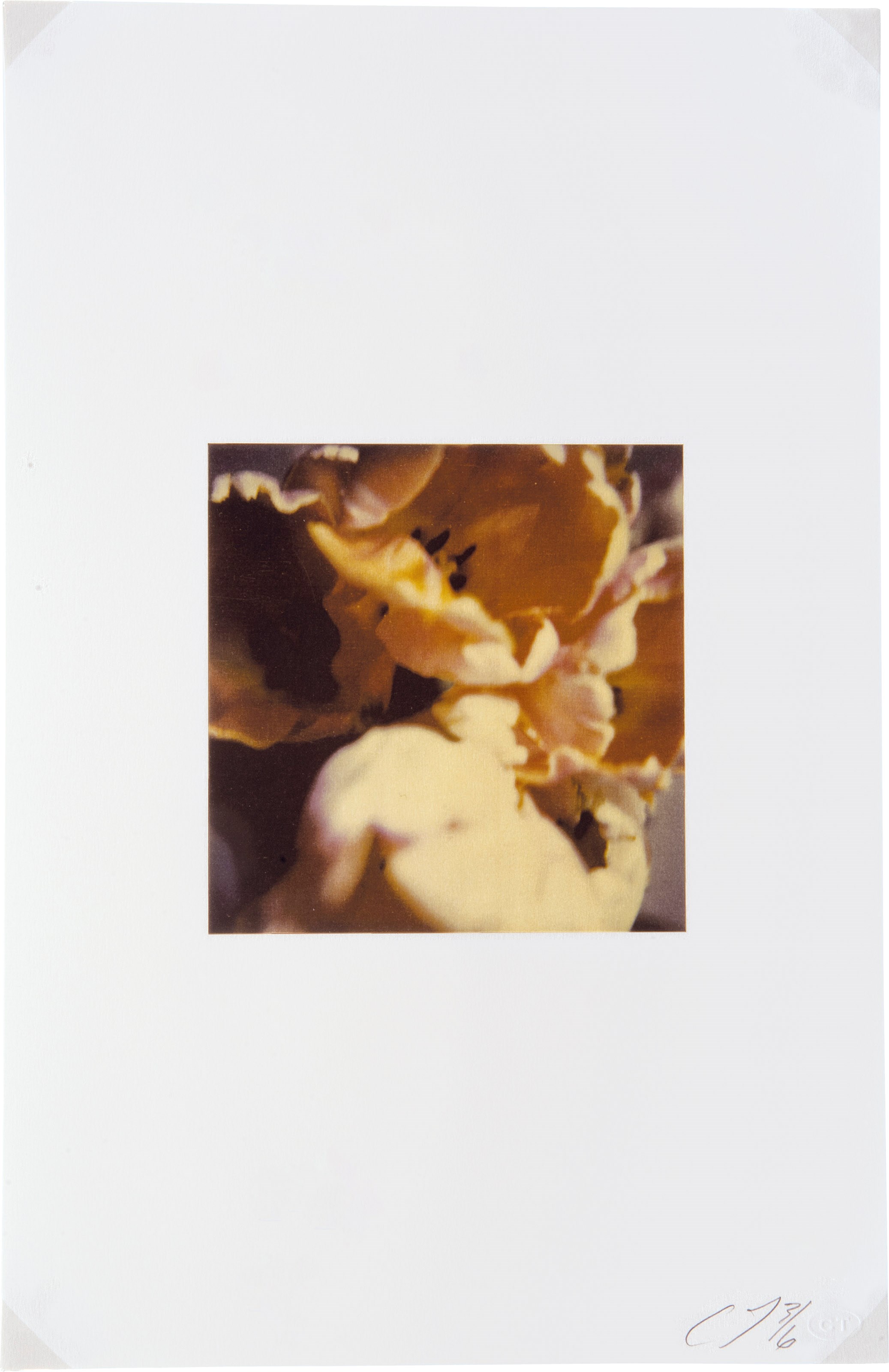 Cy Twombly (1928 - 2011)
