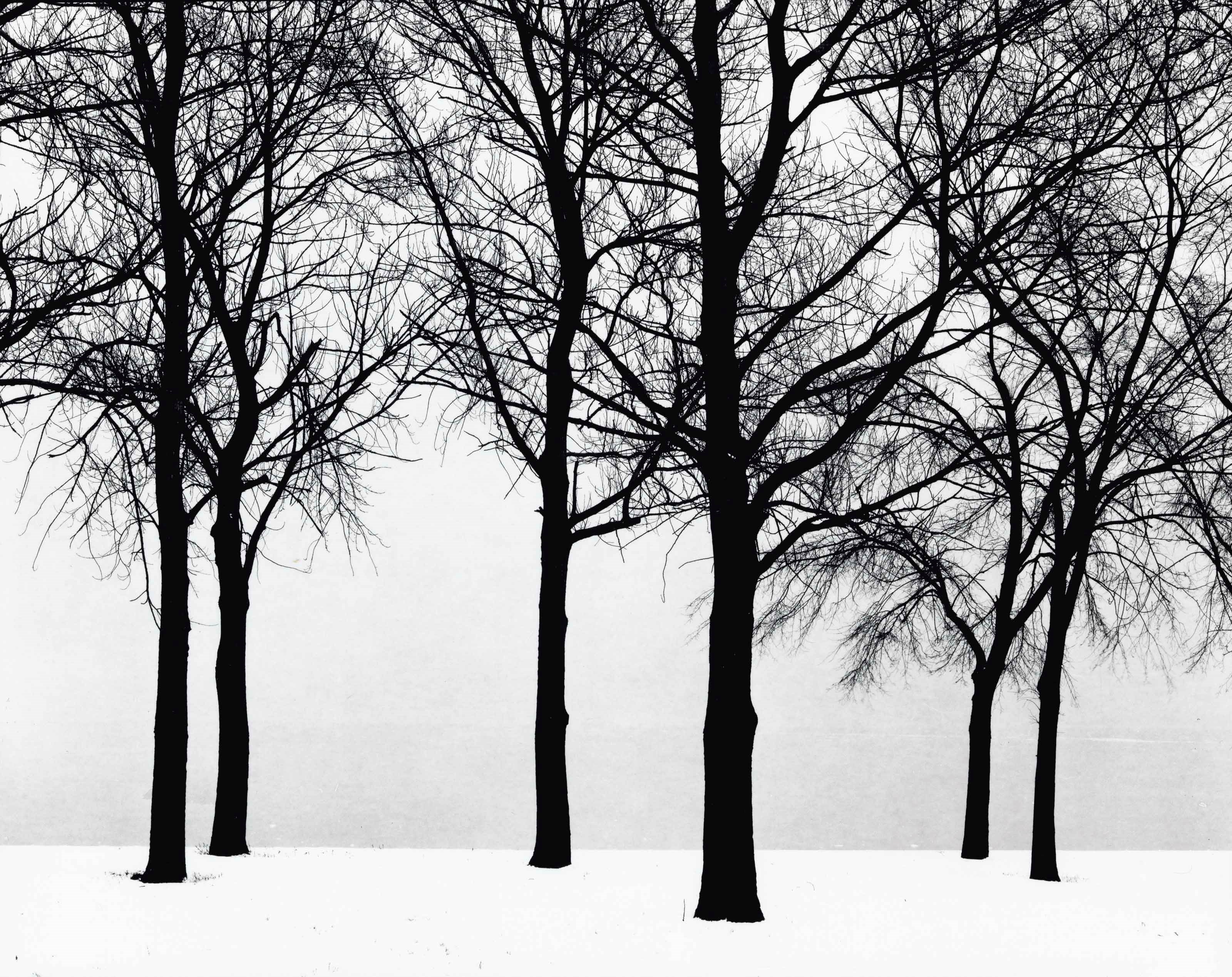 HARRY CALLAHAN (1912–1999)