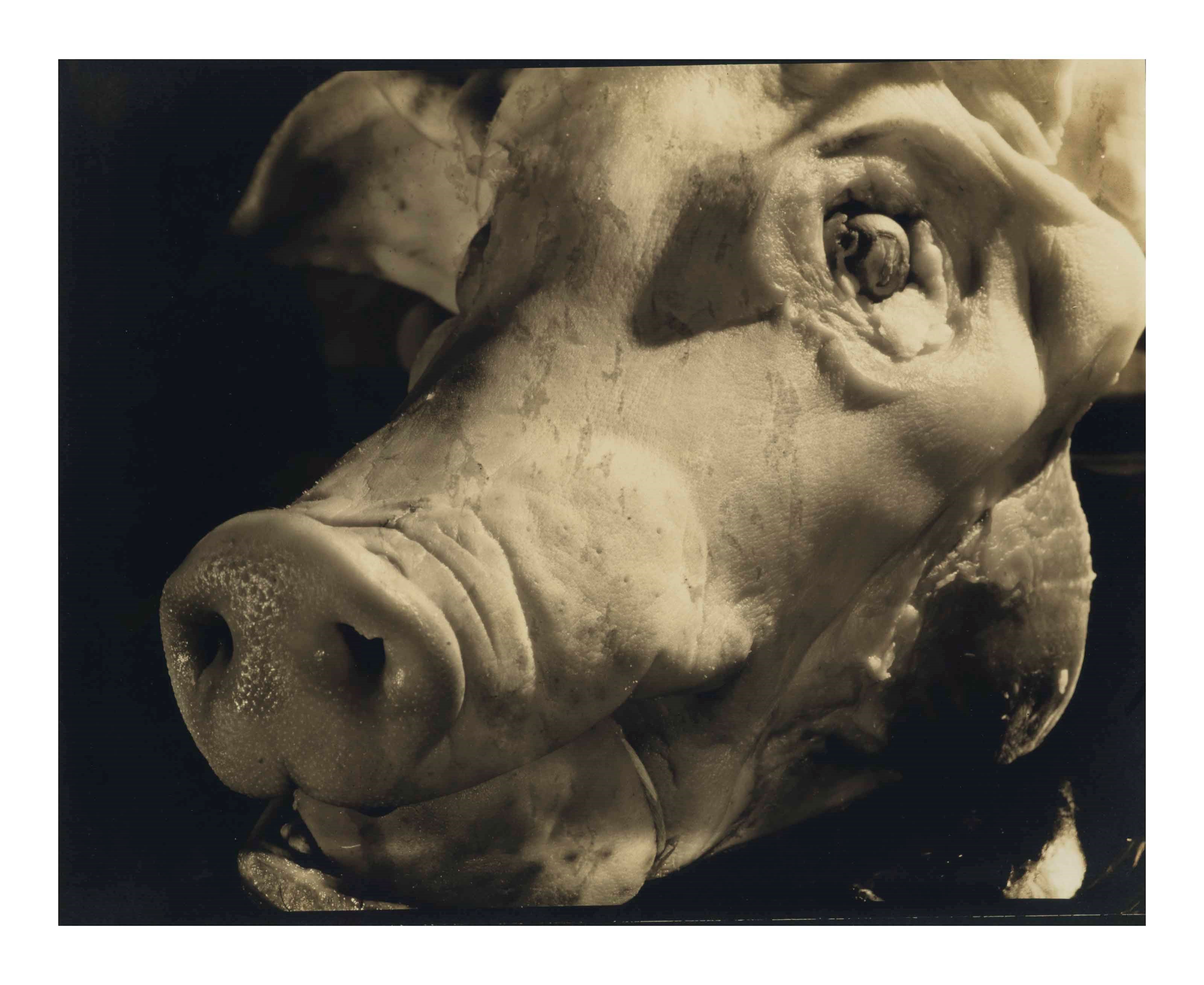 M.F. AGHA (1896–1978)