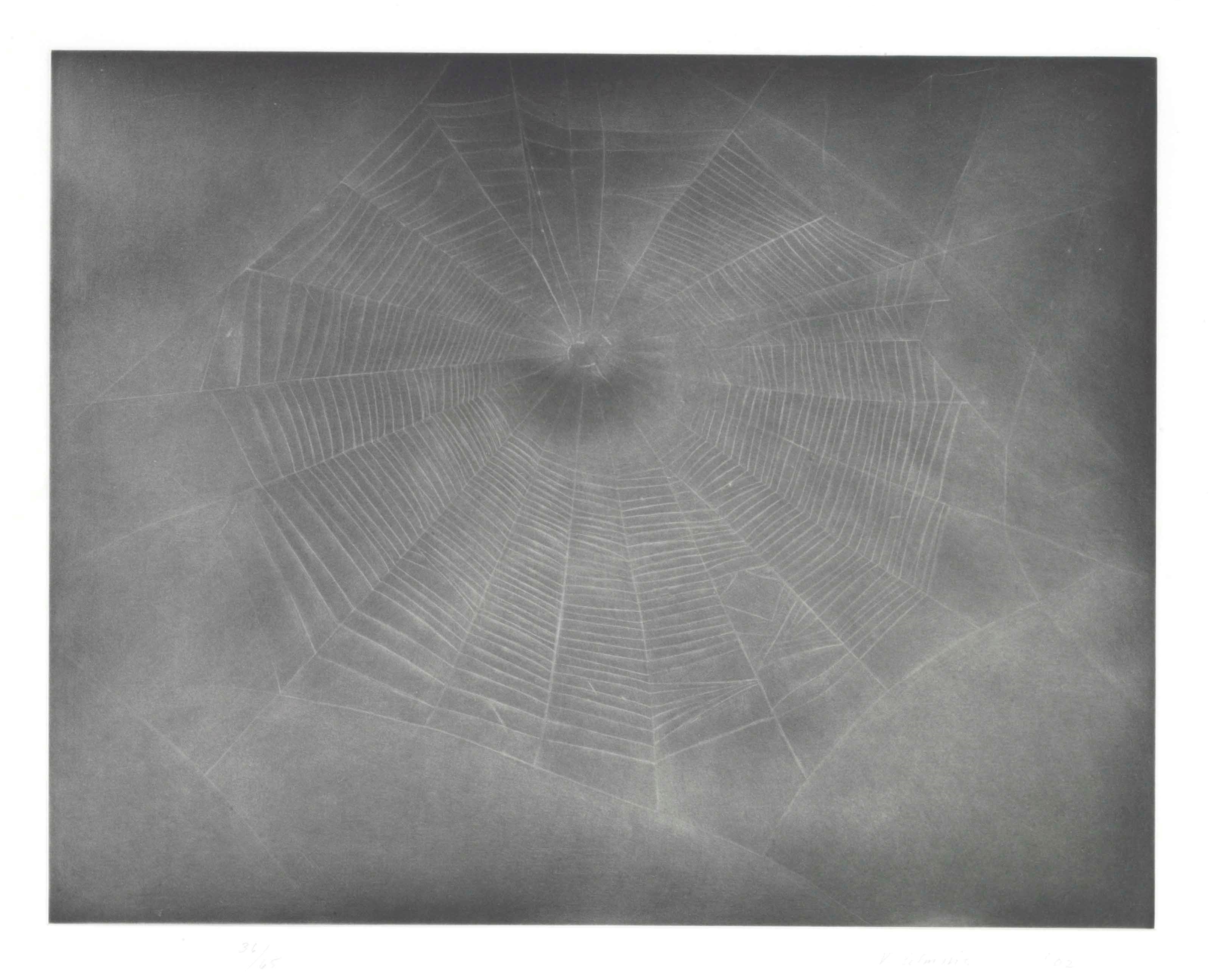 VIJA CELMINS (B. 1938)