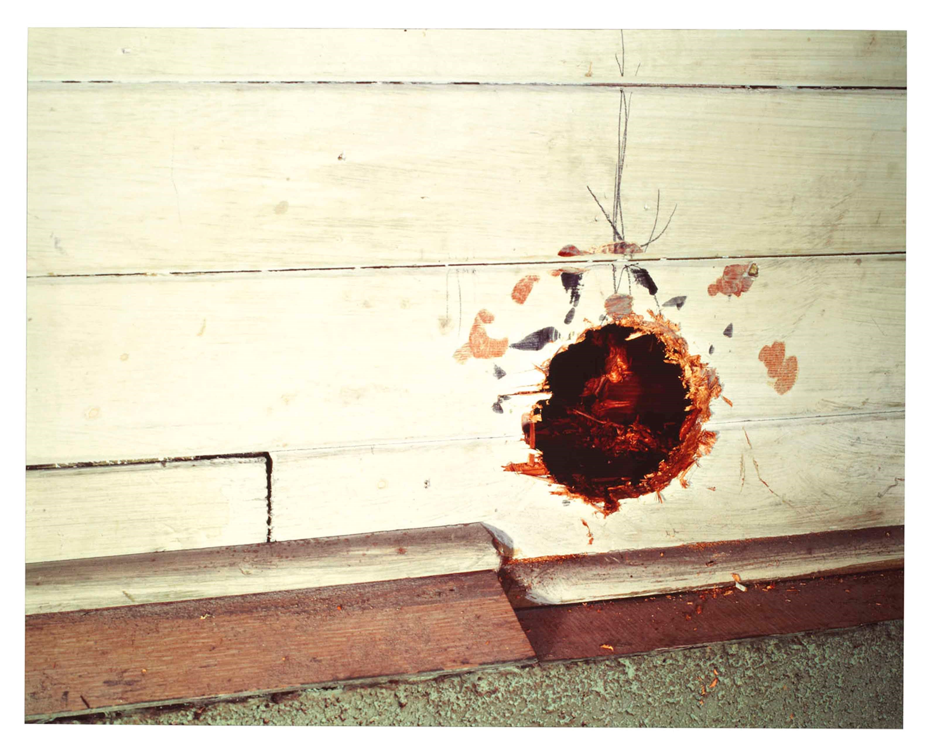 Jeff Wall (B. 1946)