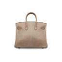 A SHINY GRIS FONCÉ NILOTICUS LIZARD BIRKIN 25 WITH PALLADIUM HARDWARE
