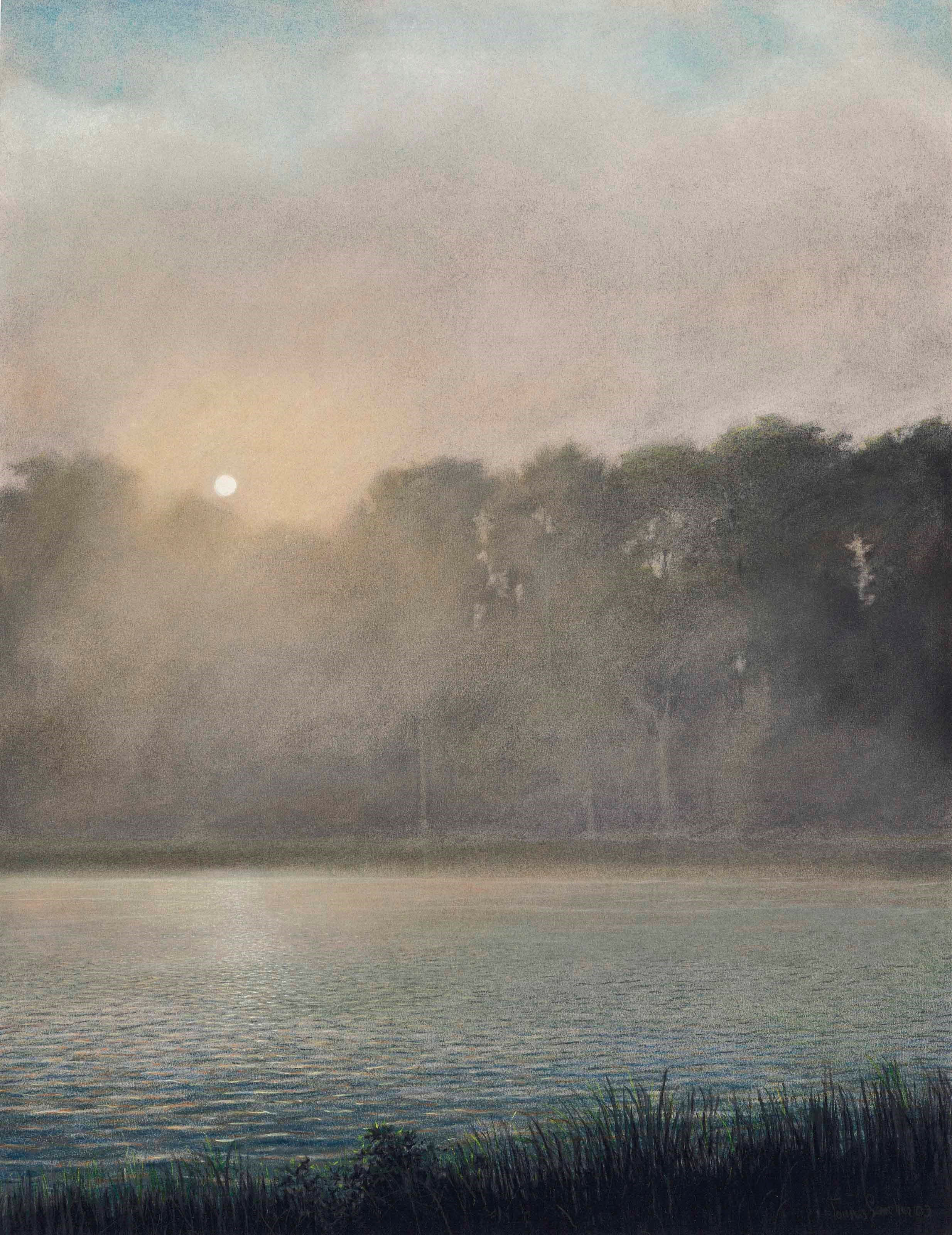 Tomás Sánchez (b. 1948)