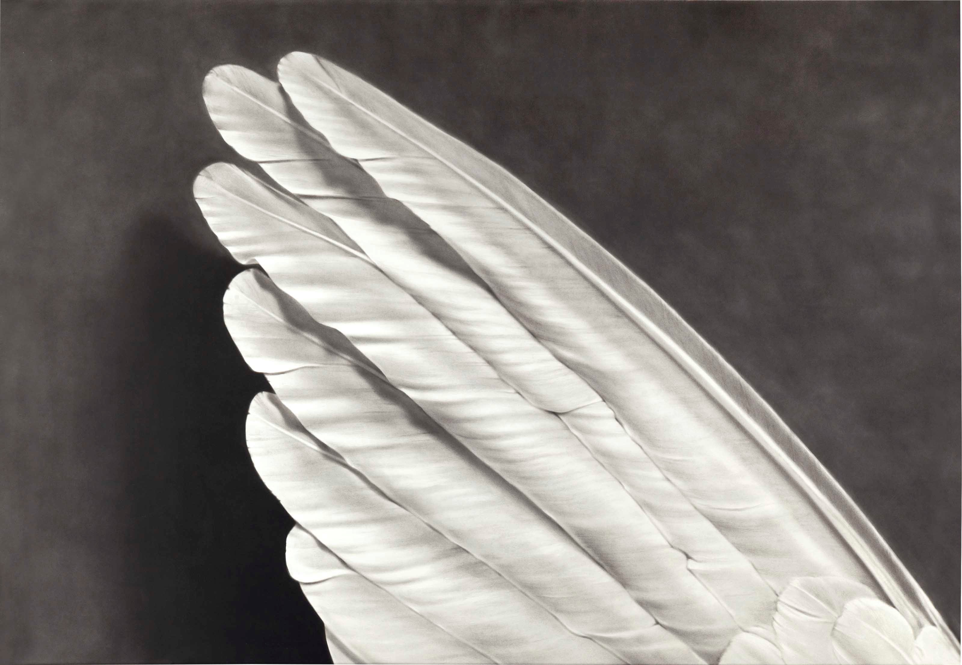 Robert Longo (b. 1953)