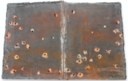 Anselm Kiefer (b. 1945)