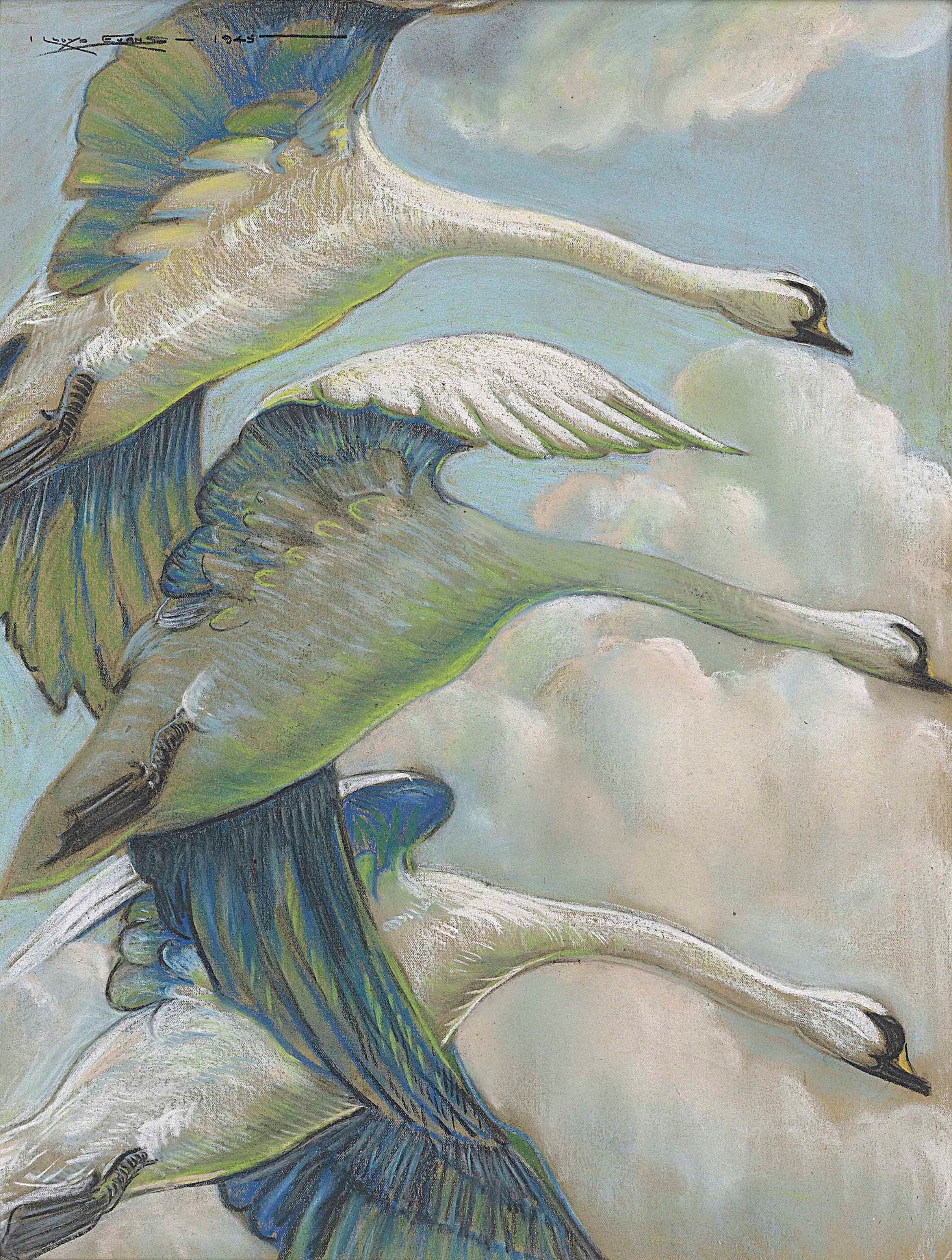 David Lloyd Evans (b. 1916)