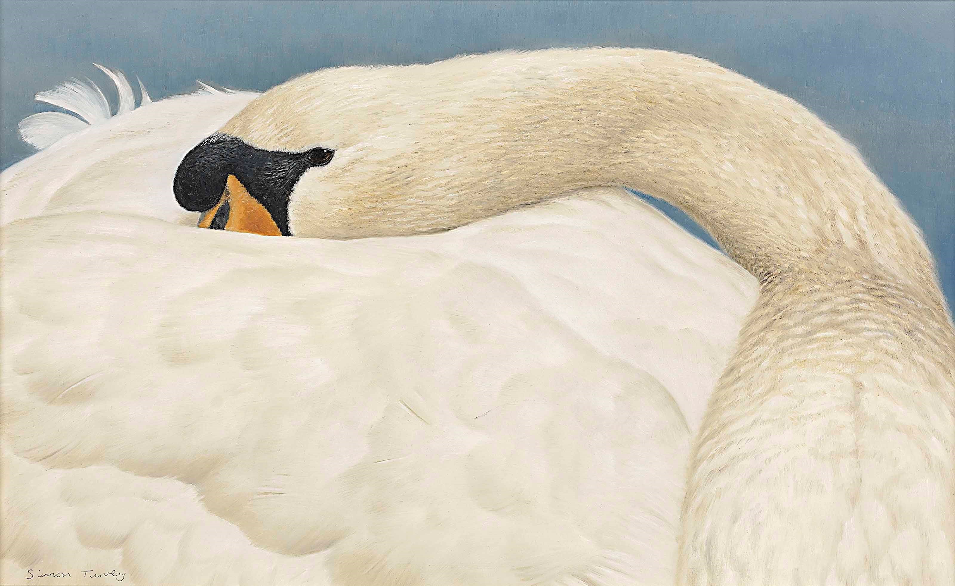 Simon Turvey (b. 1957)