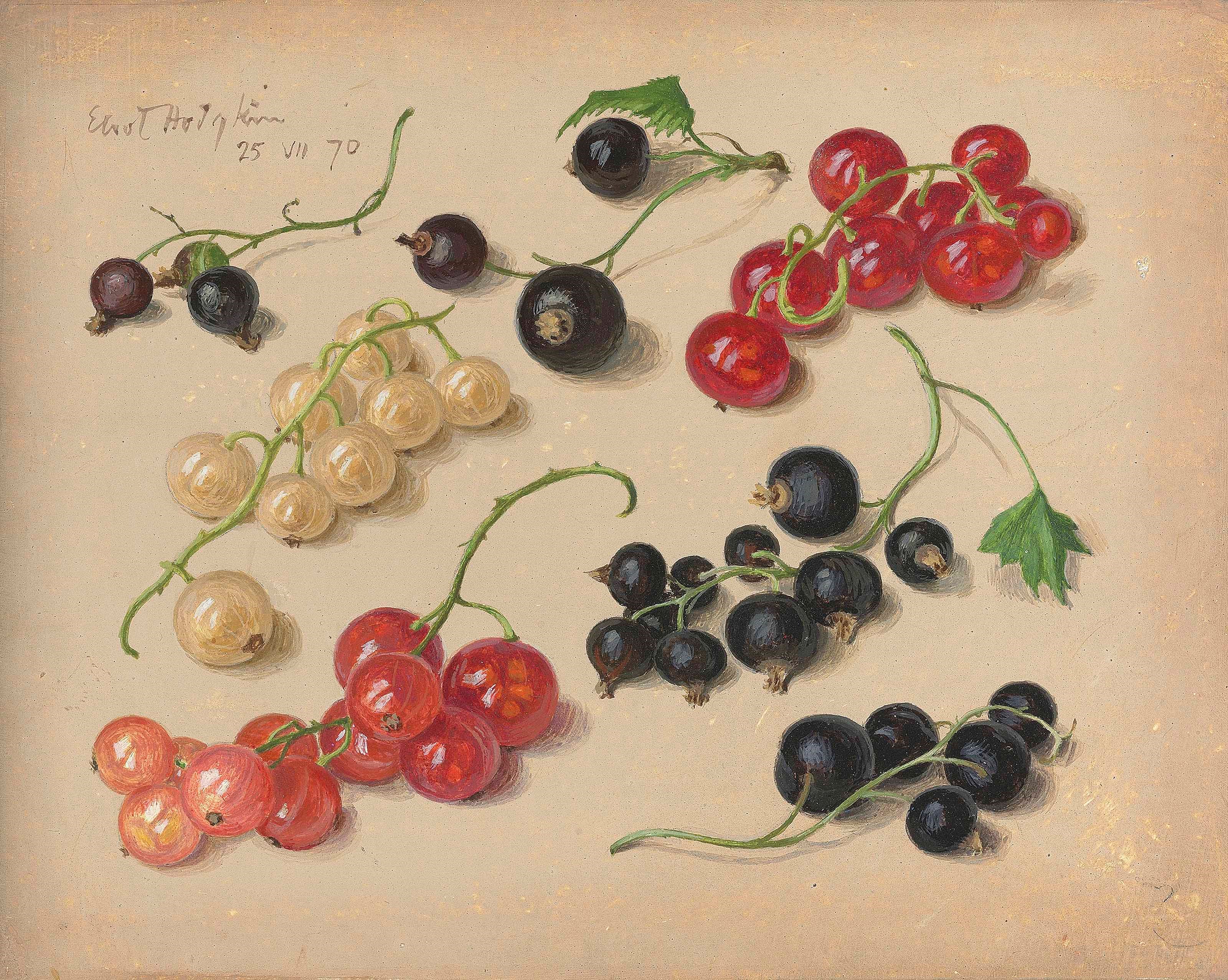 Eliot Hodgkin (1905-1987)