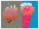 ANDY WARHOL (1928-1987)