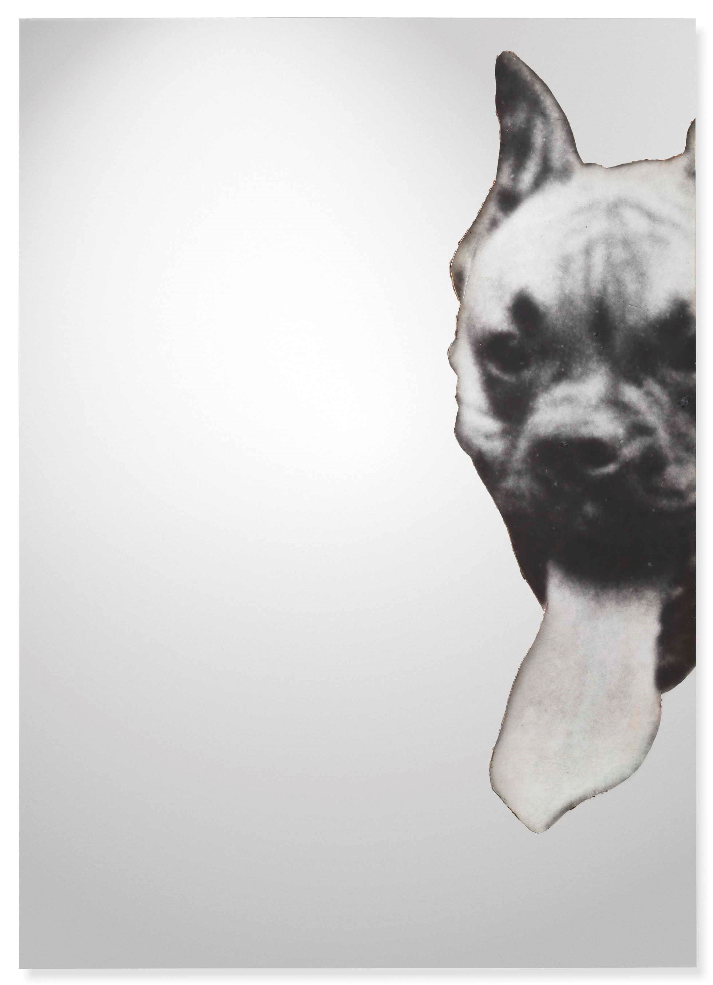Michelangelo Pistoletto (N. 1933)