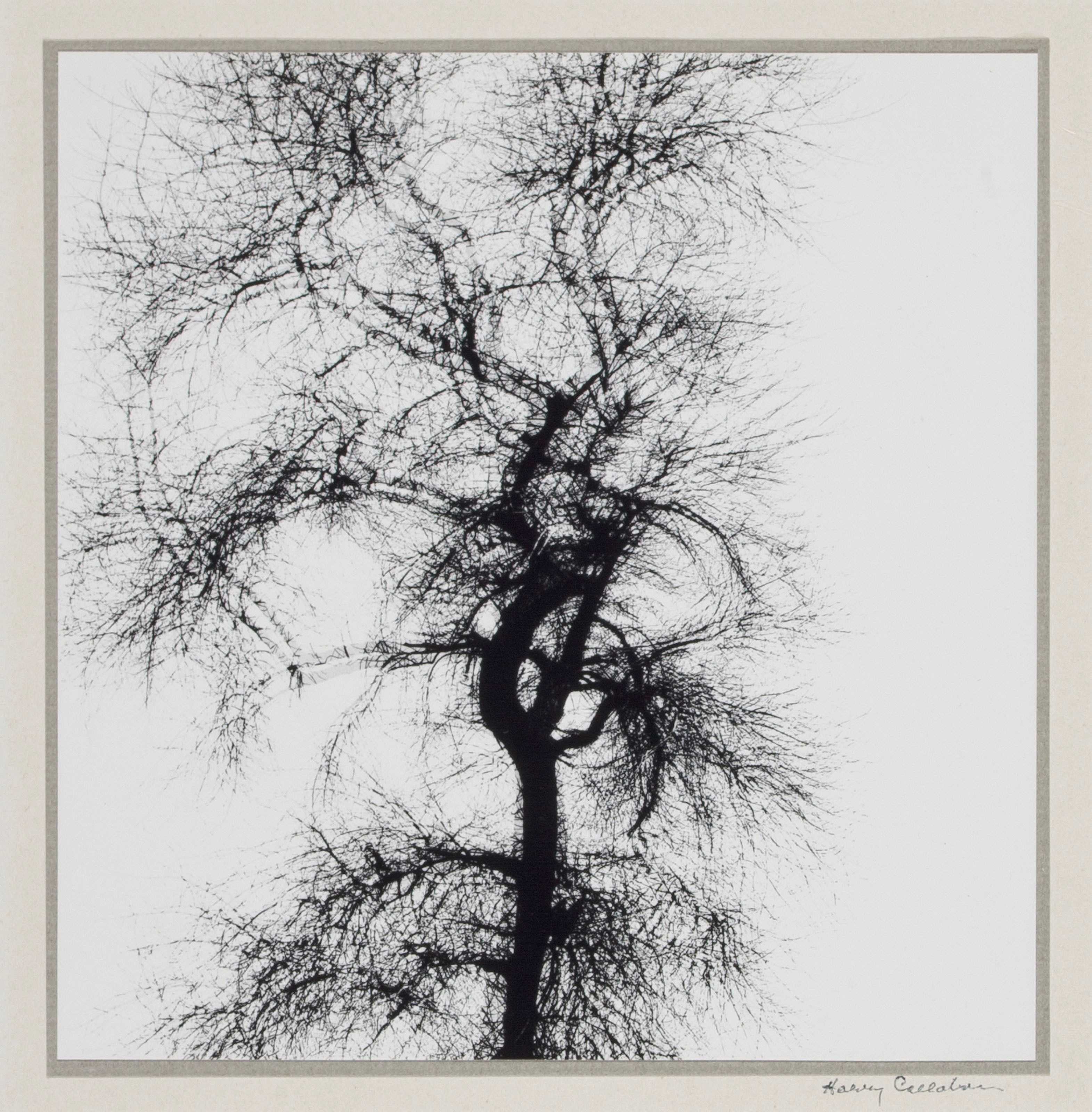 HARRY CALLAHAN (1912–1999)